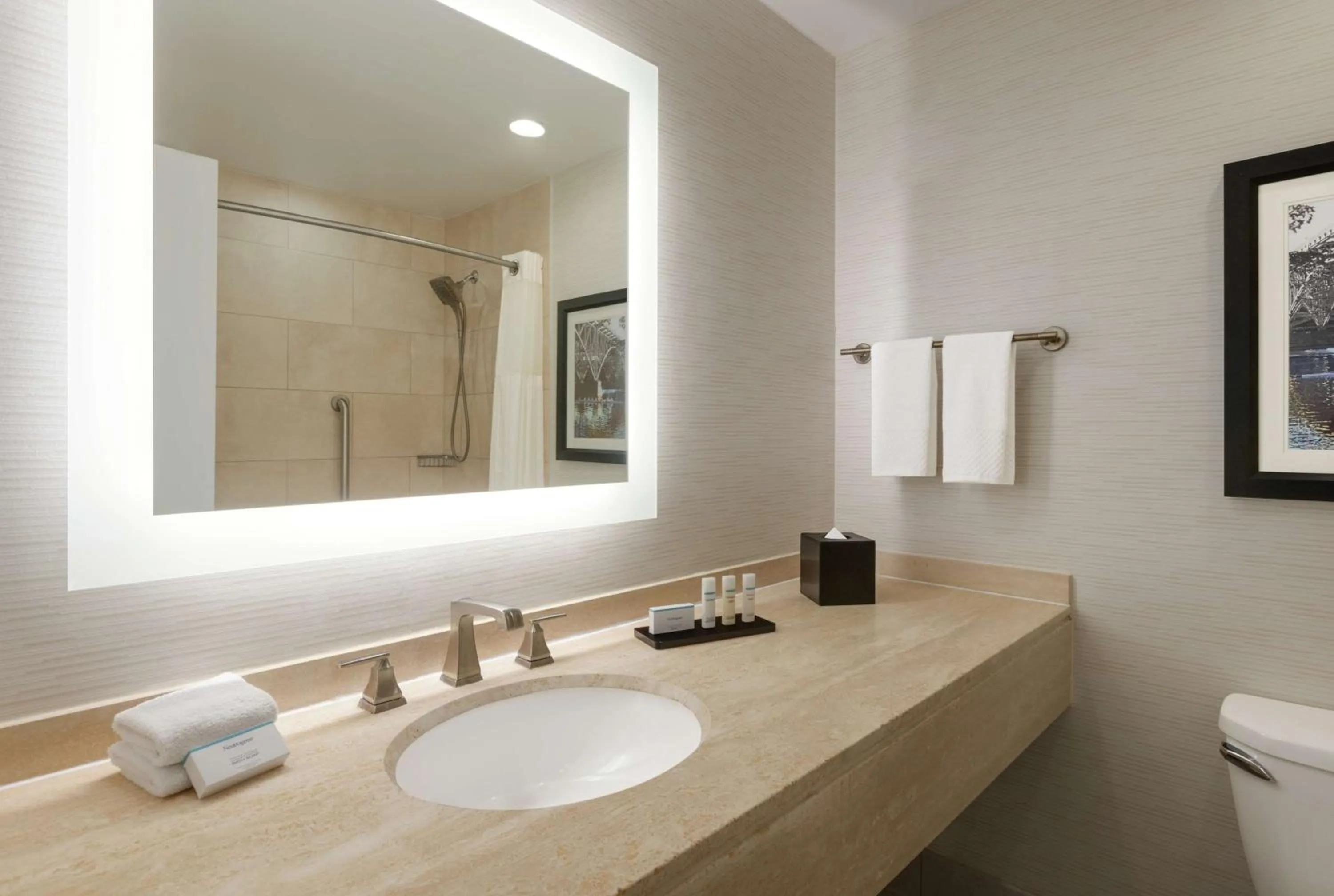 Bathroom in Embassy Suites by Hilton Philadelphia Valley Forge