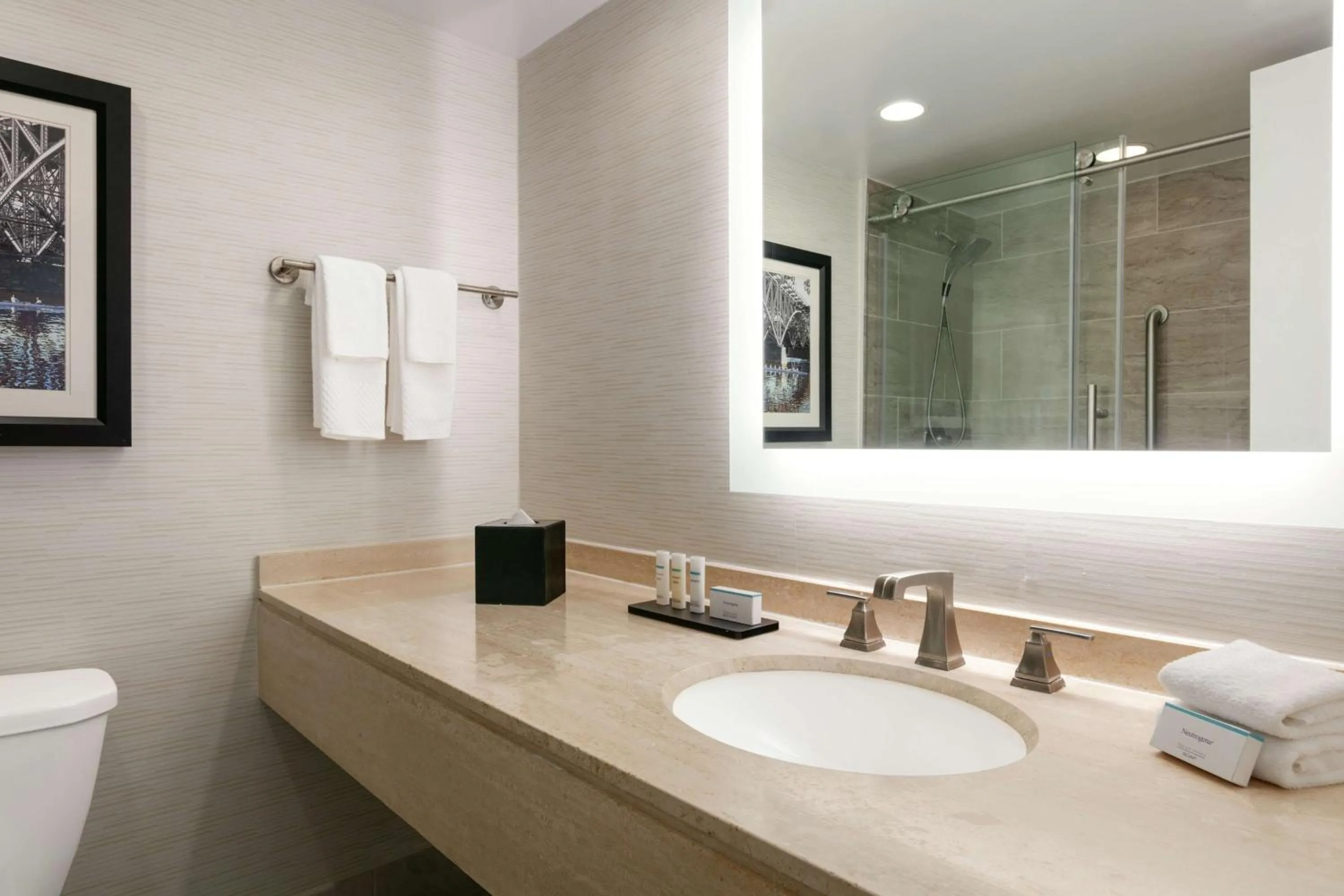 Bathroom in Embassy Suites by Hilton Philadelphia Valley Forge