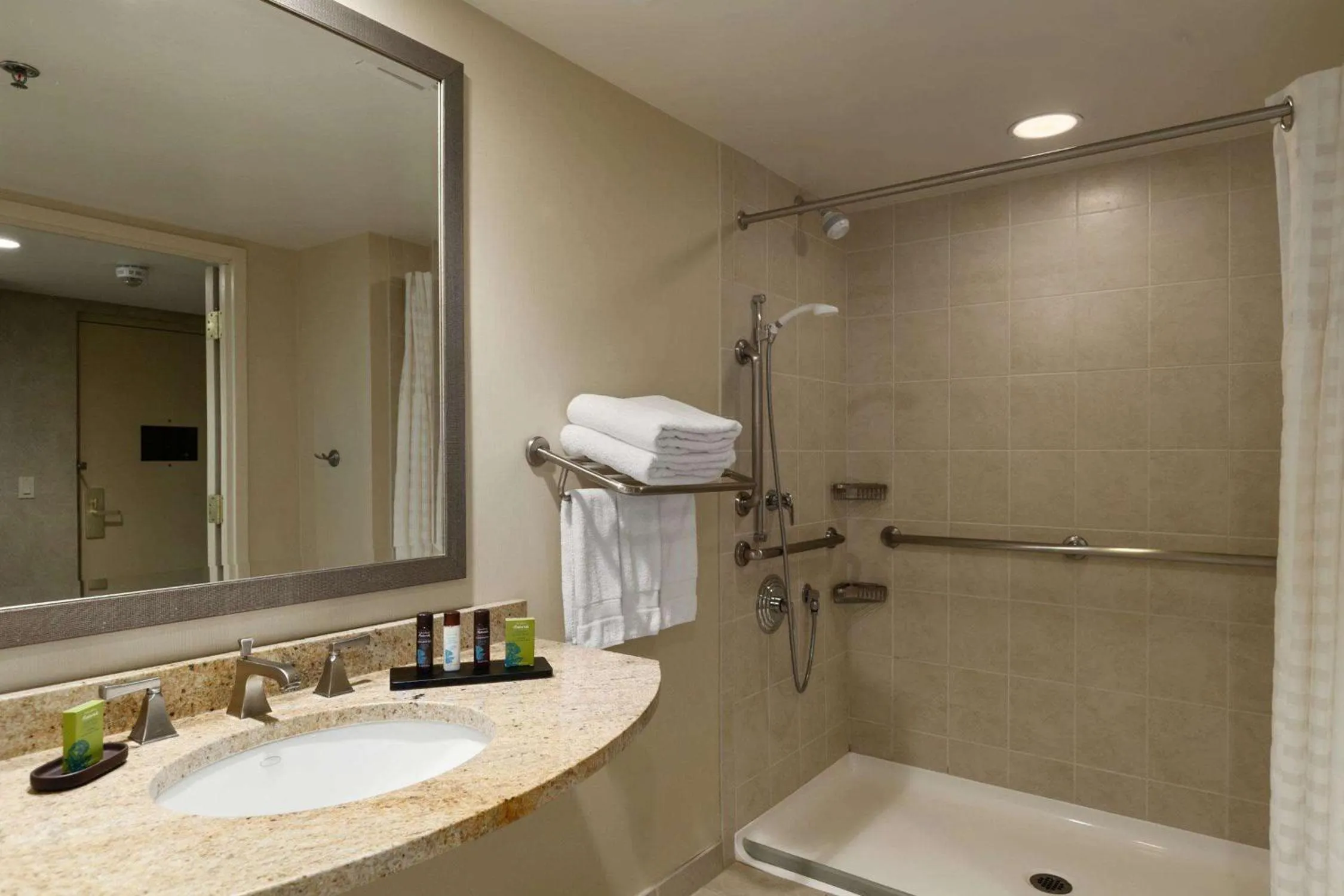 Bathroom in Embassy Suites by Hilton Philadelphia Valley Forge