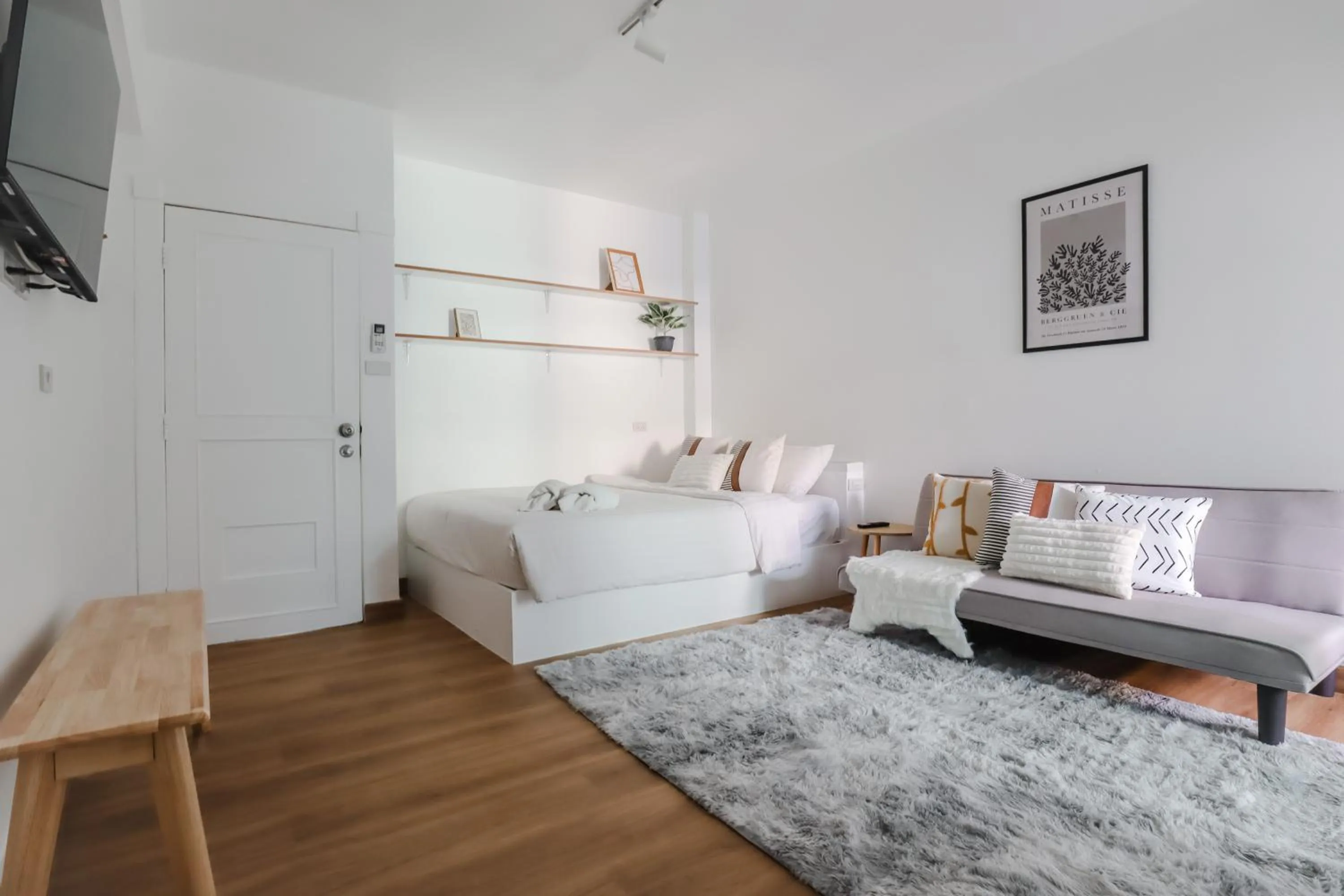 TV and multimedia in Link Mansion