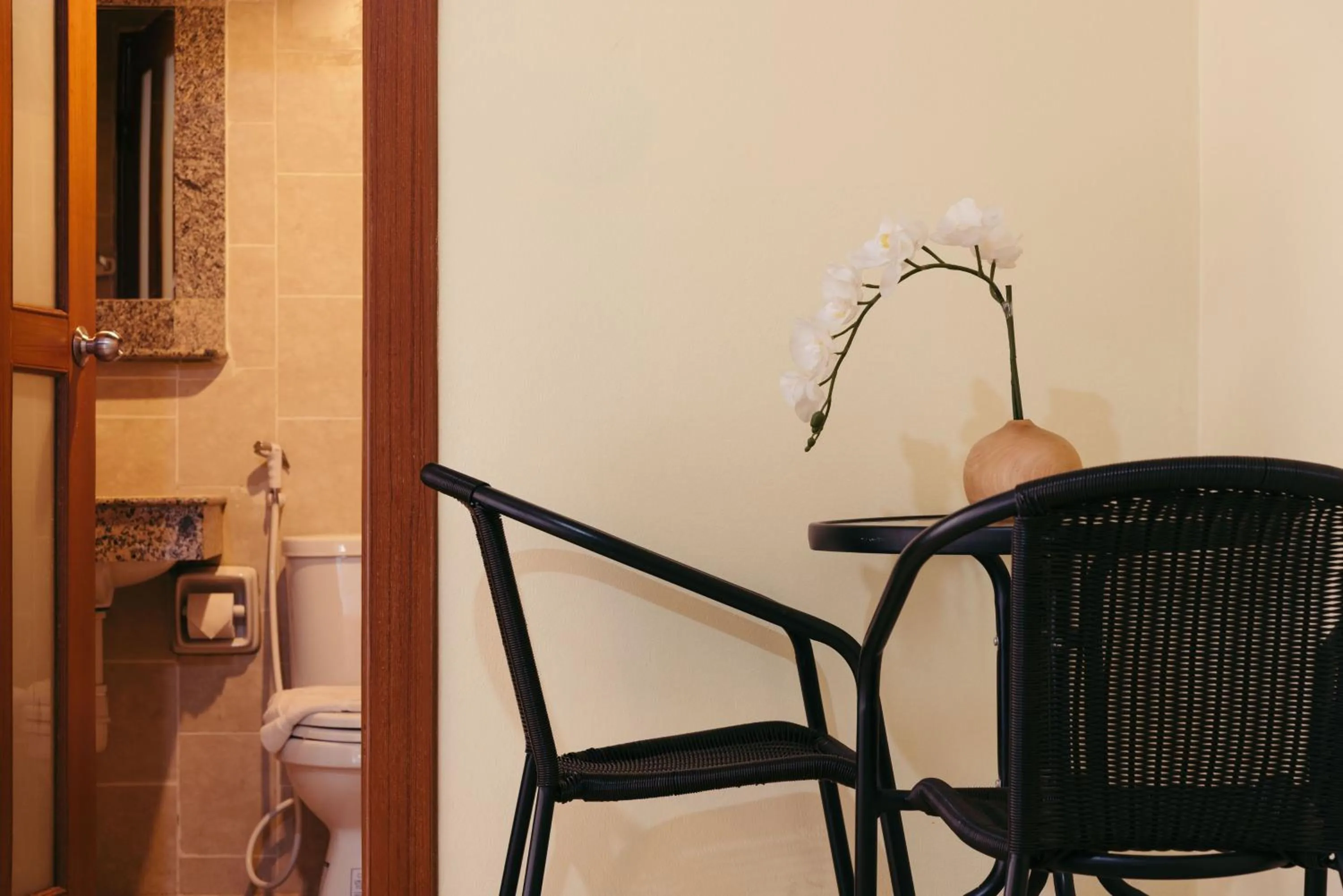 Toilet in Link Mansion