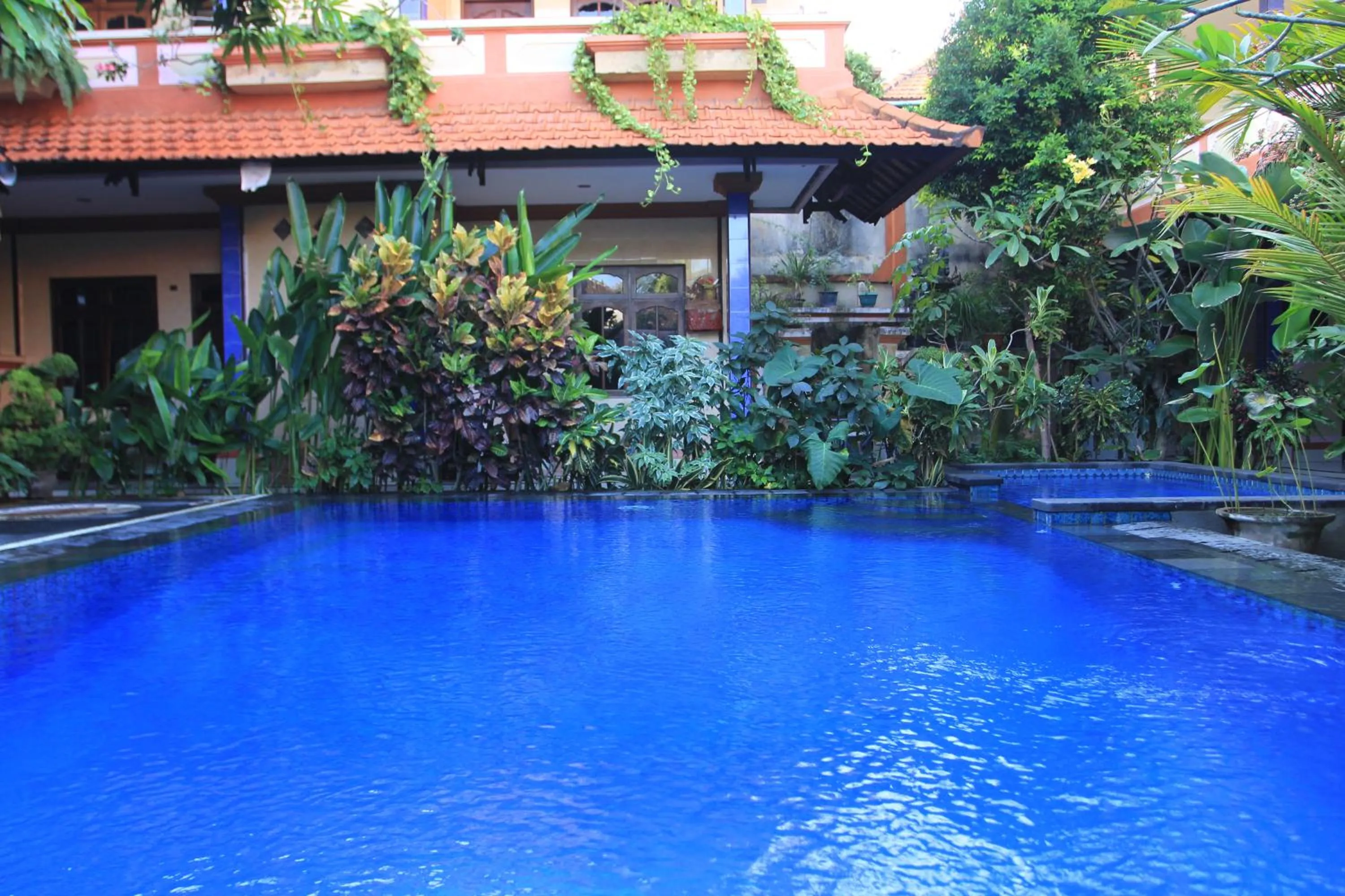 Swimming pool in Losmen Cempaka 3
