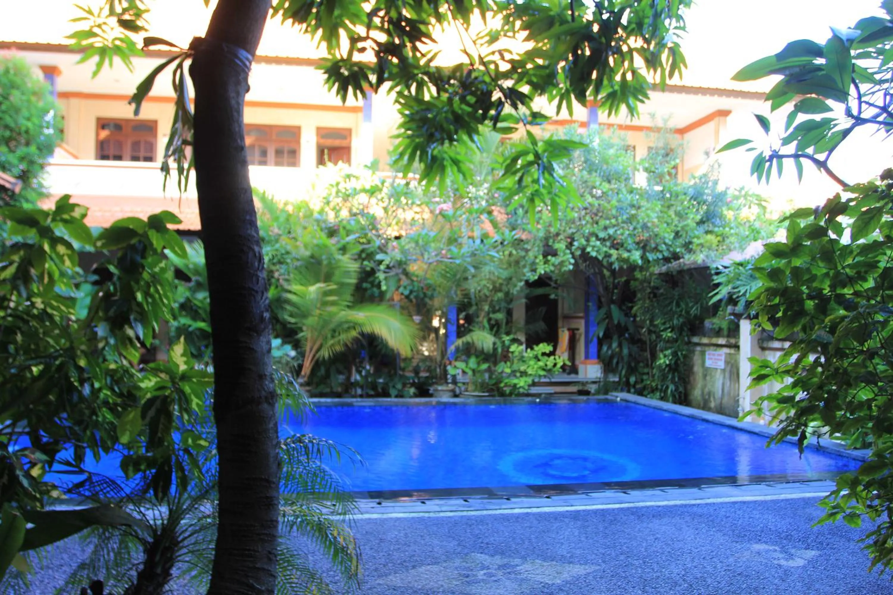 Swimming pool in Losmen Cempaka 3