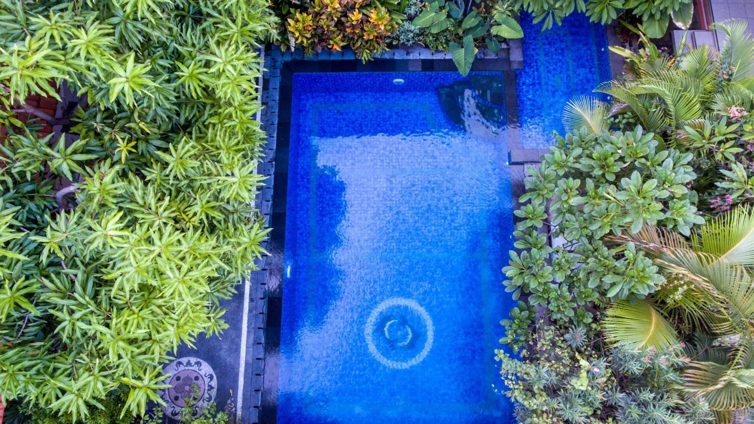 Property building in Losmen Cempaka 3