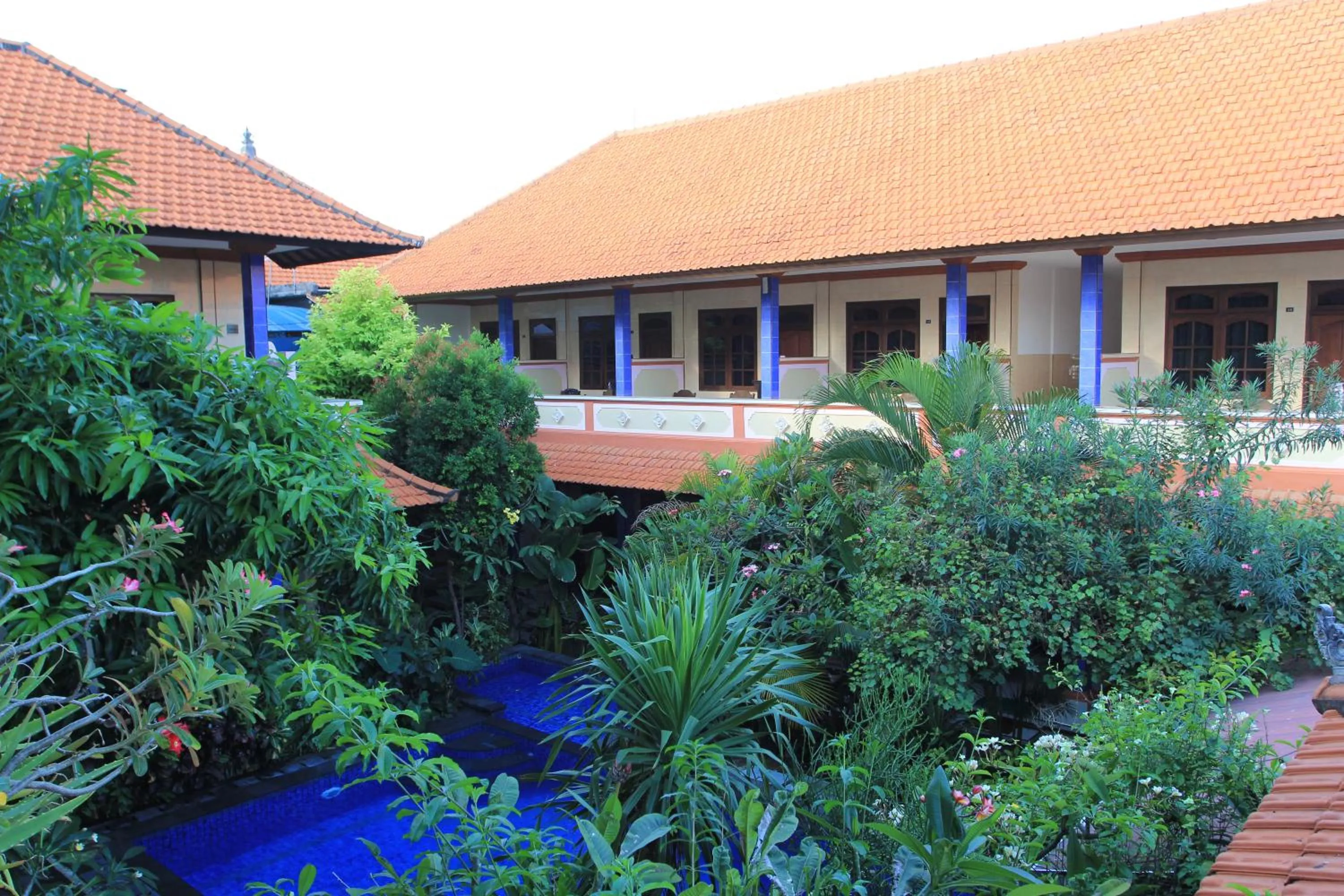 Swimming pool in Losmen Cempaka 3