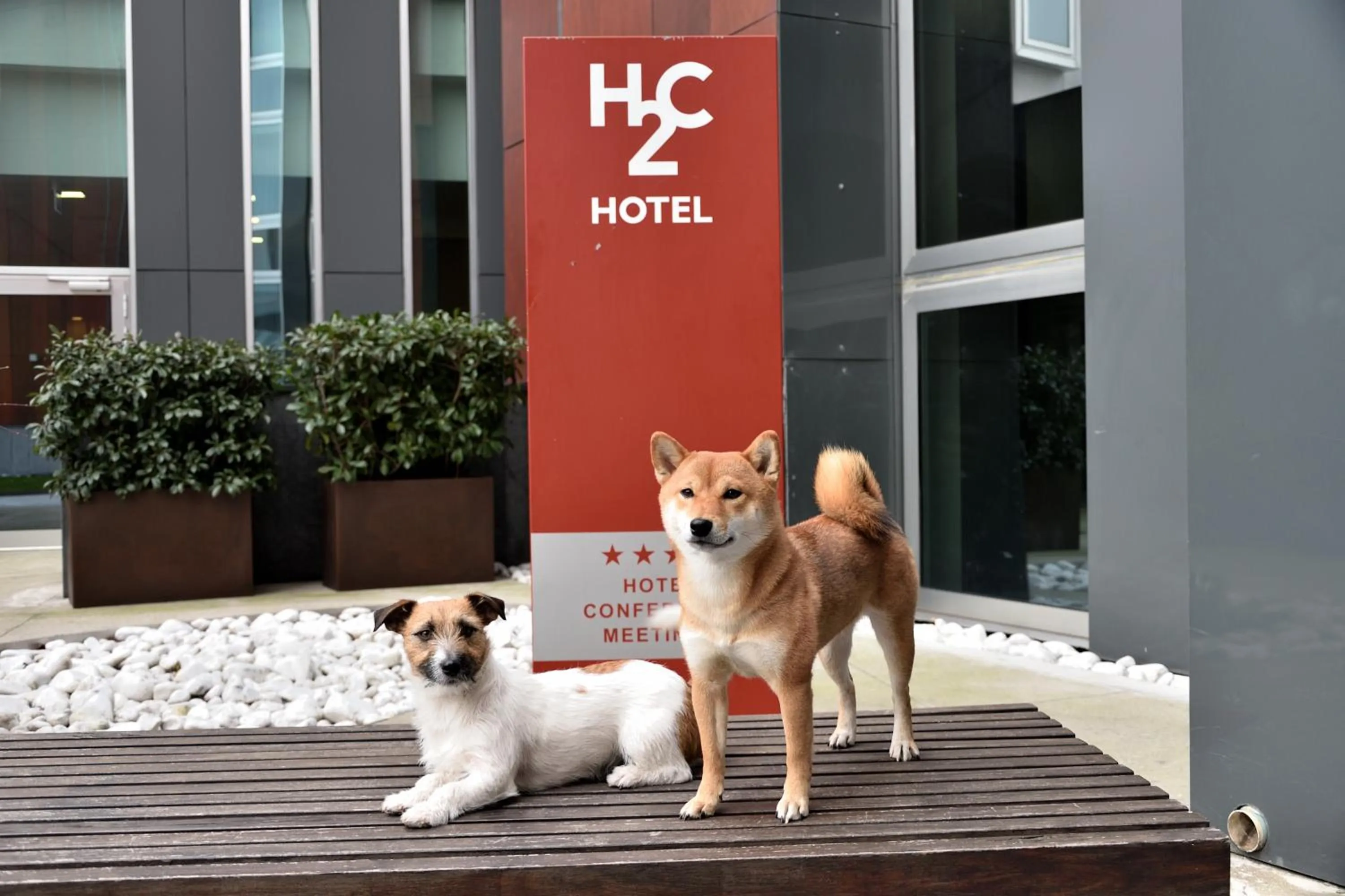 Animals in H2C Hotel Milanofiori