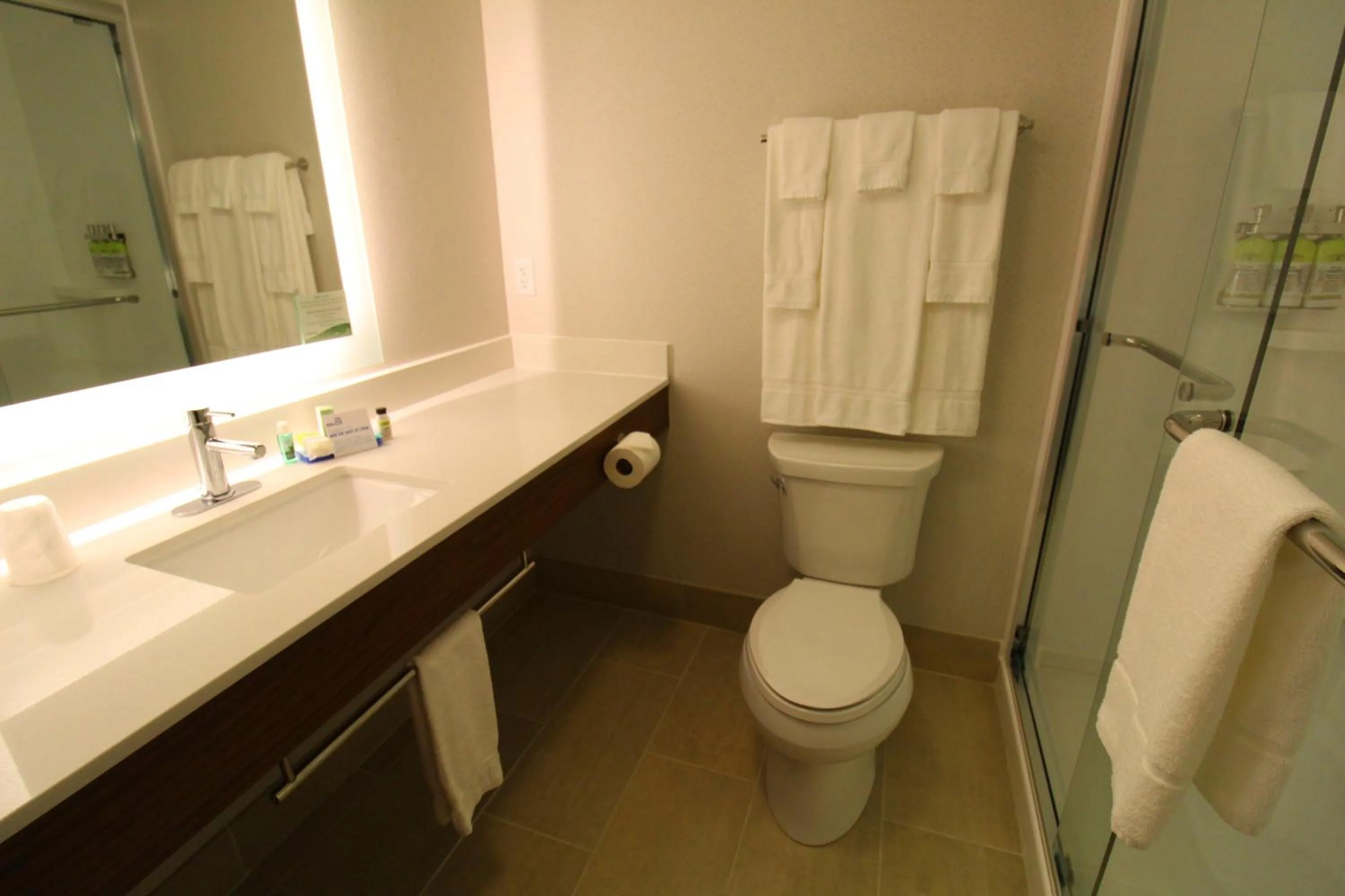 Bathroom in Holiday Inn Express Murrysville - Delmont by IHG
