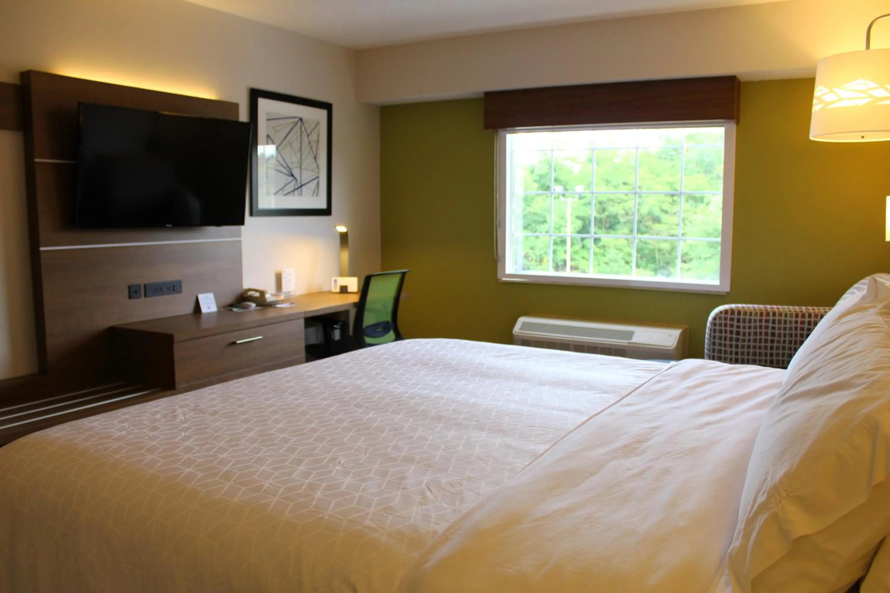 Photo of the whole room, Bed in Holiday Inn Express Murrysville - Delmont by IHG