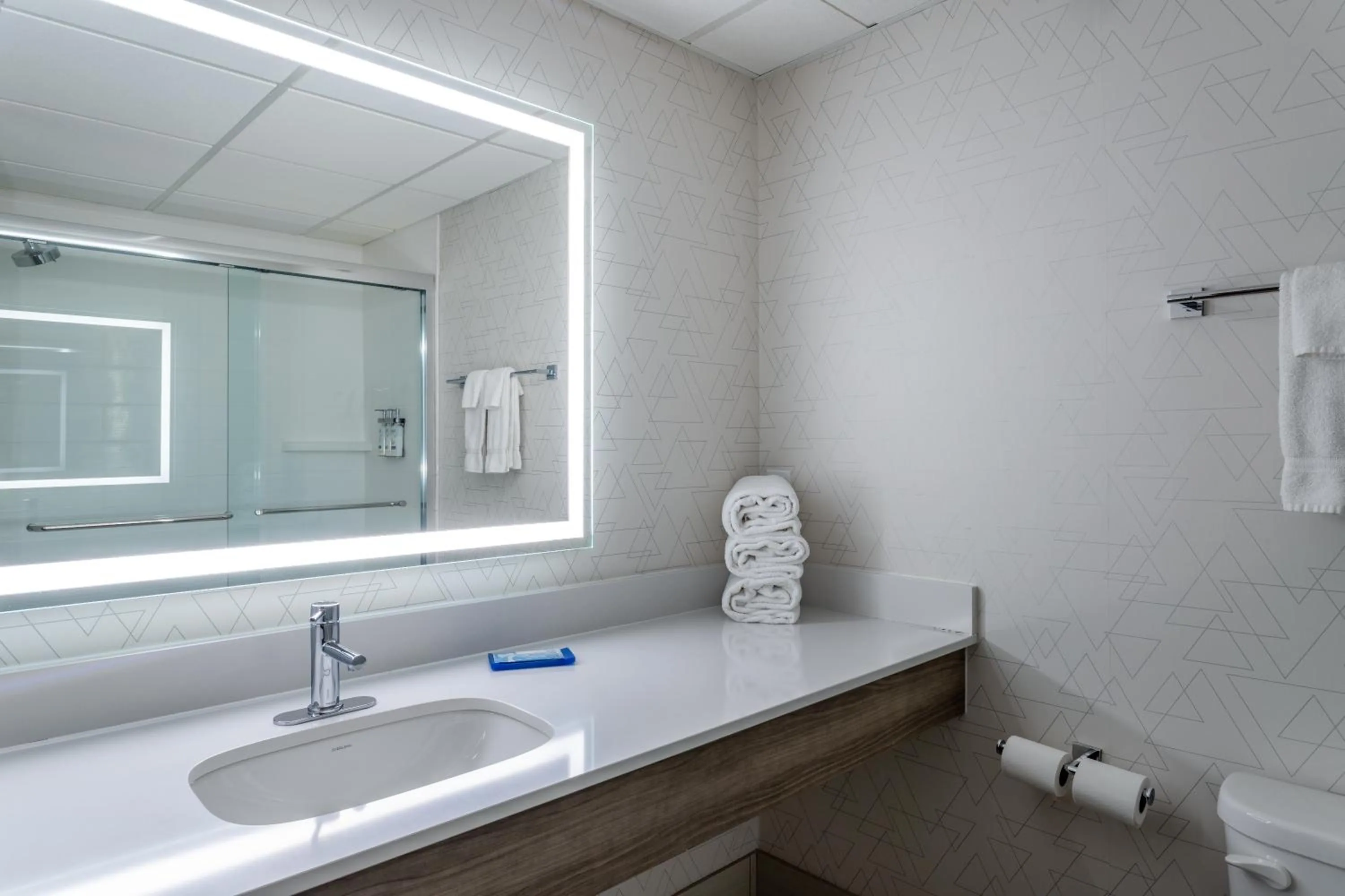 Holiday Inn Express Hotel & Suites-St. Paul by IHG