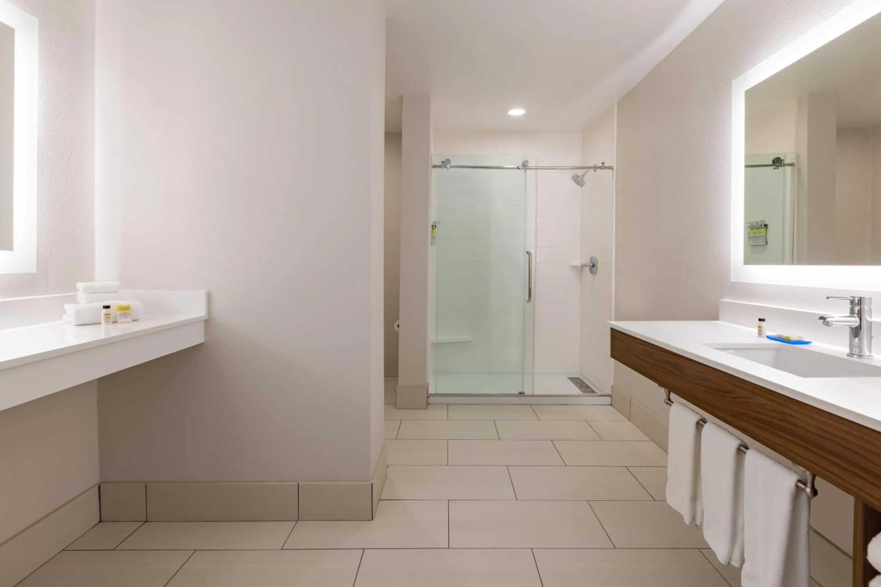 Shower in Holiday Inn Express Hotel & Suites Opelika Auburn by IHG