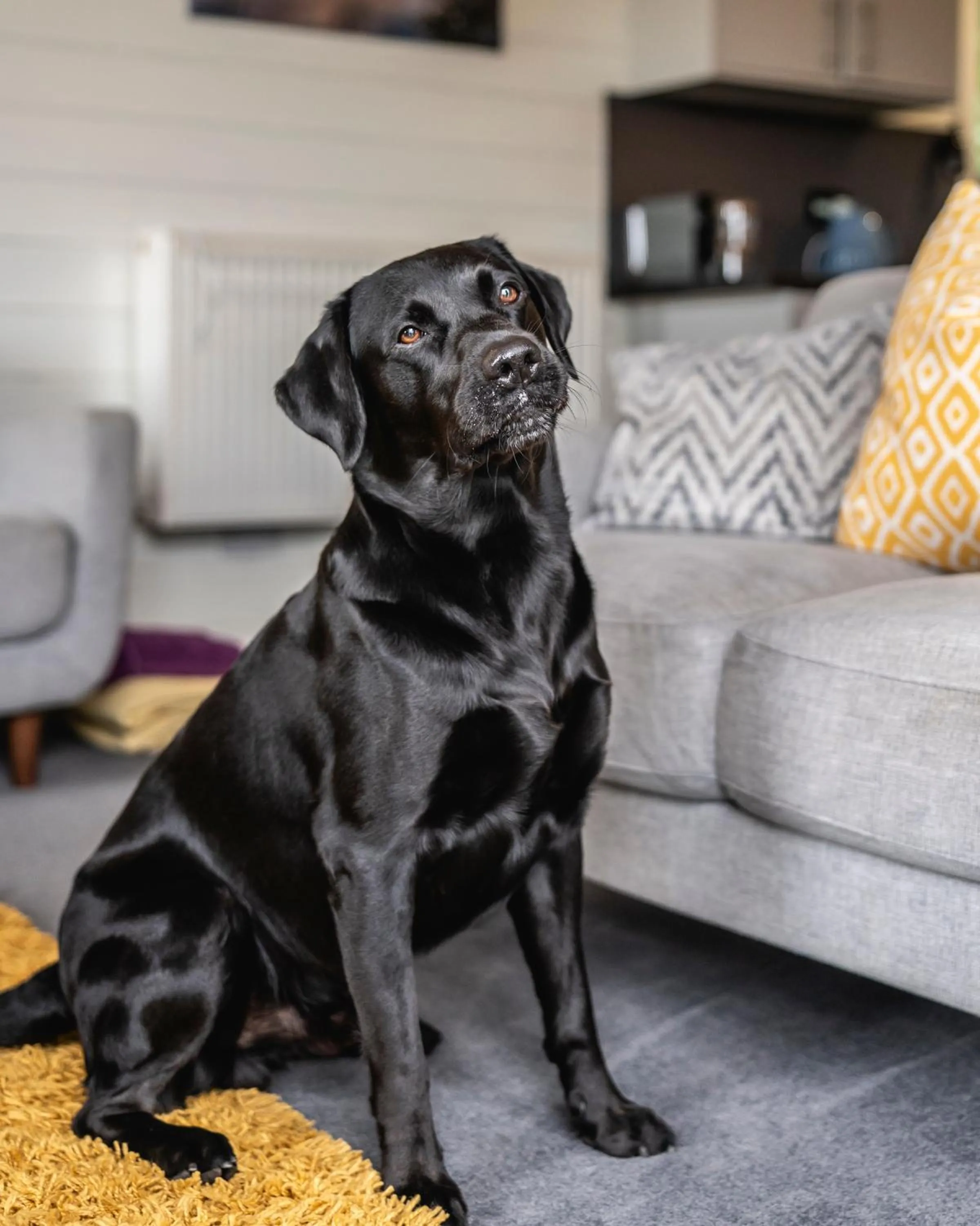 Kinnaird Woodland Lodges