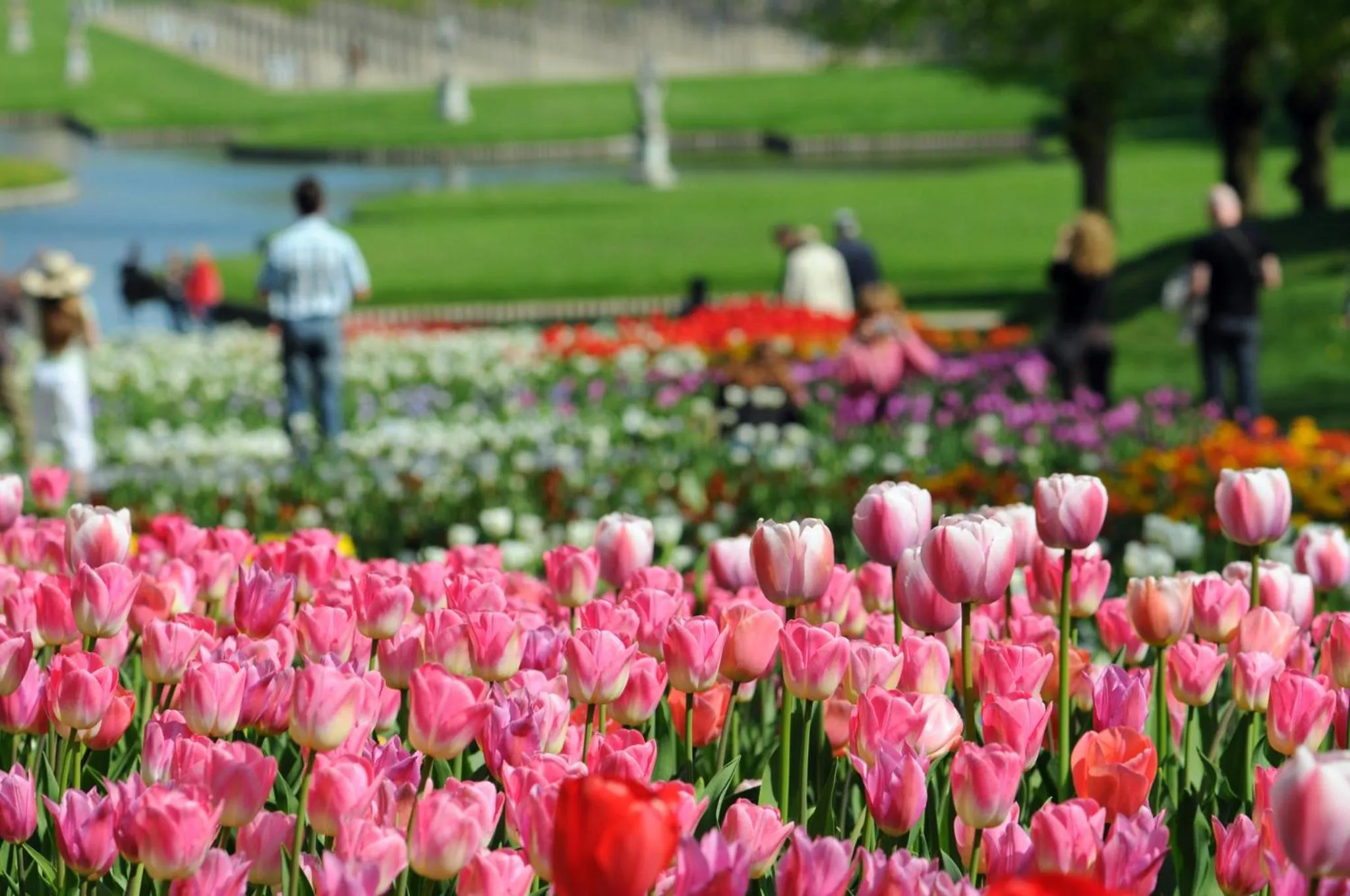 Nearby landmark in Holiday Inn Express & Suites Asheville SW - Outlet Ctr Area by IHG