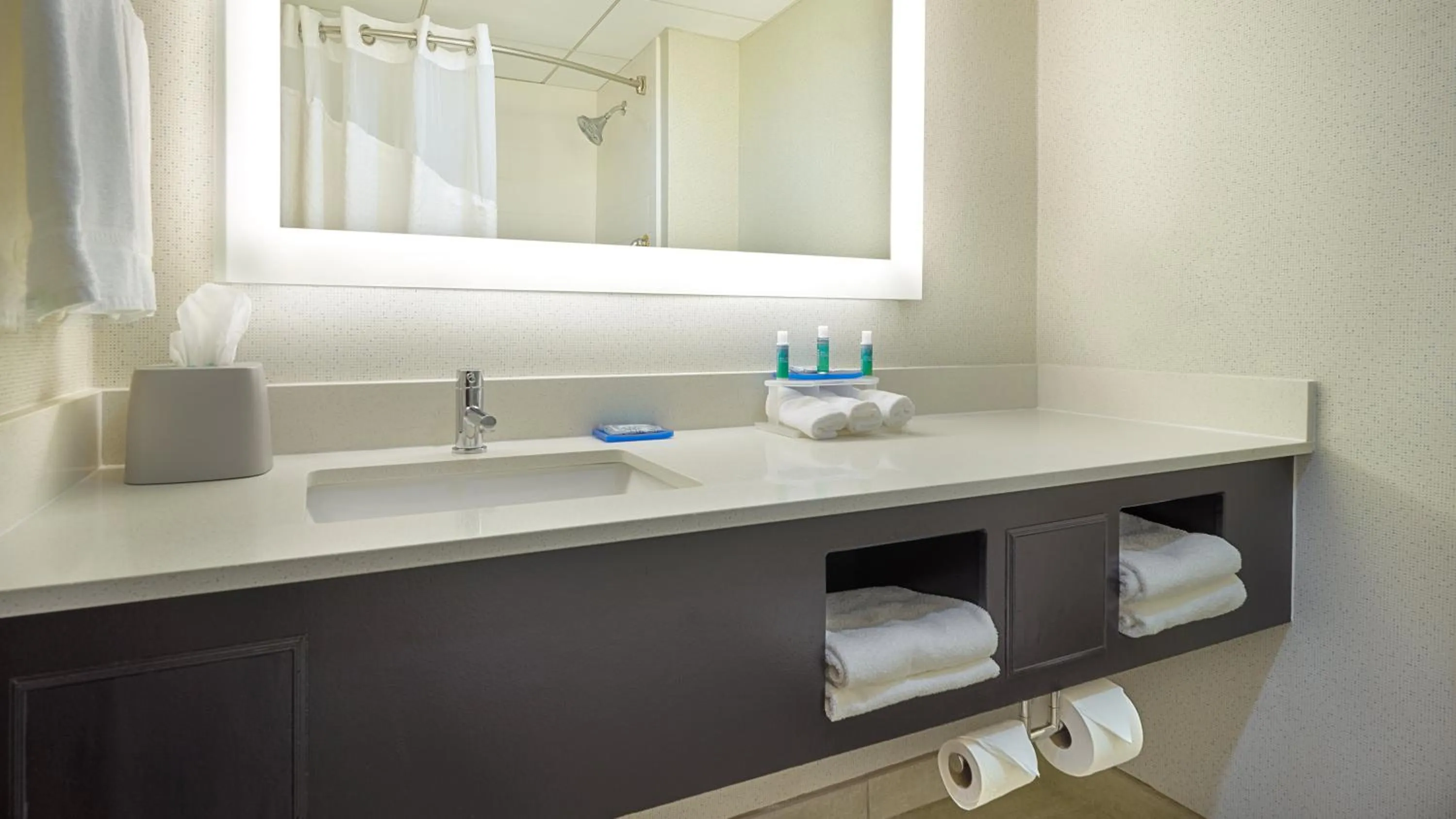 Bathroom in Holiday Inn Express & Suites Asheville SW - Outlet Ctr Area by IHG