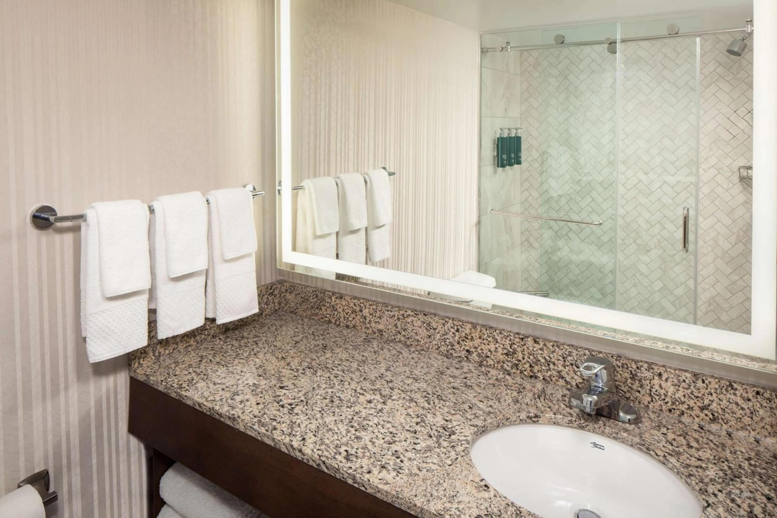 Bathroom in DoubleTree by Hilton Silver Spring Washington DC North