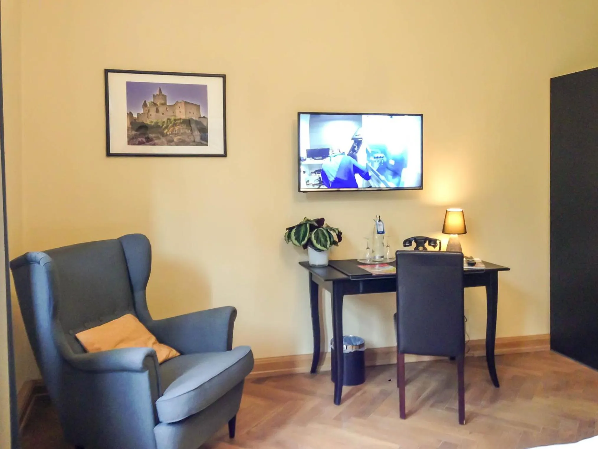 TV and multimedia in Waldschlösschen Wangen