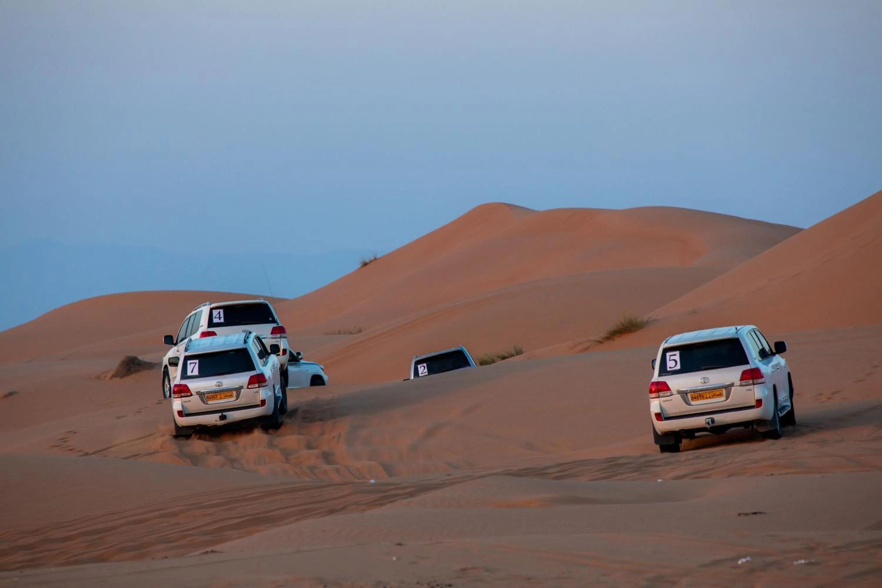 Activities in Sands Dream Tourism Camp