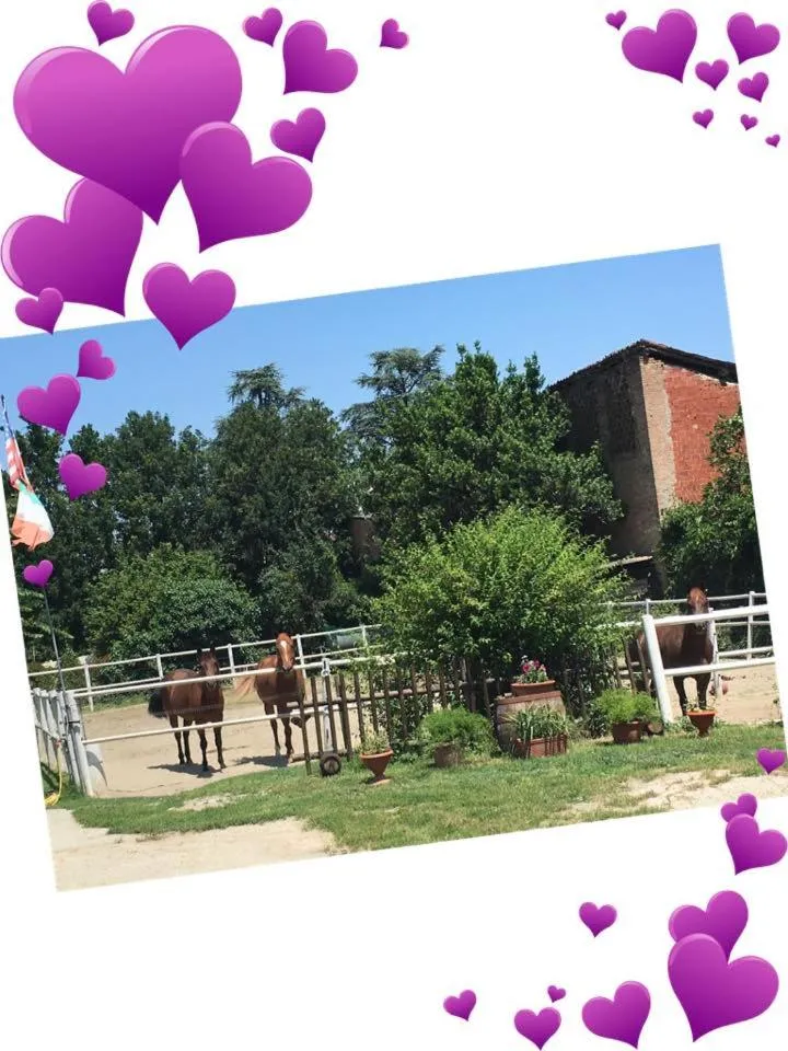 Property building in Felix House