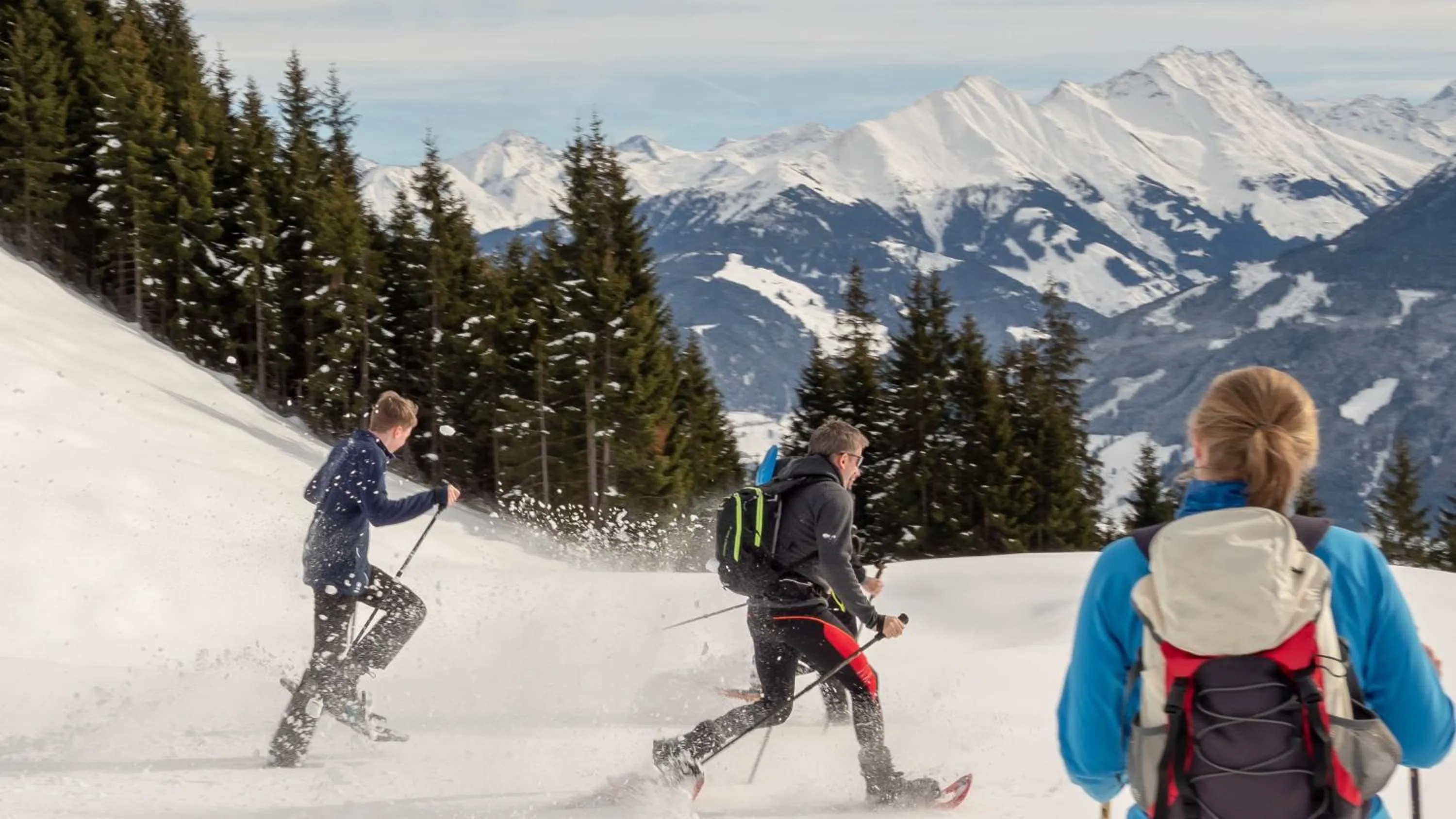 Winter in Hotel Gasthof Schweizerhaus