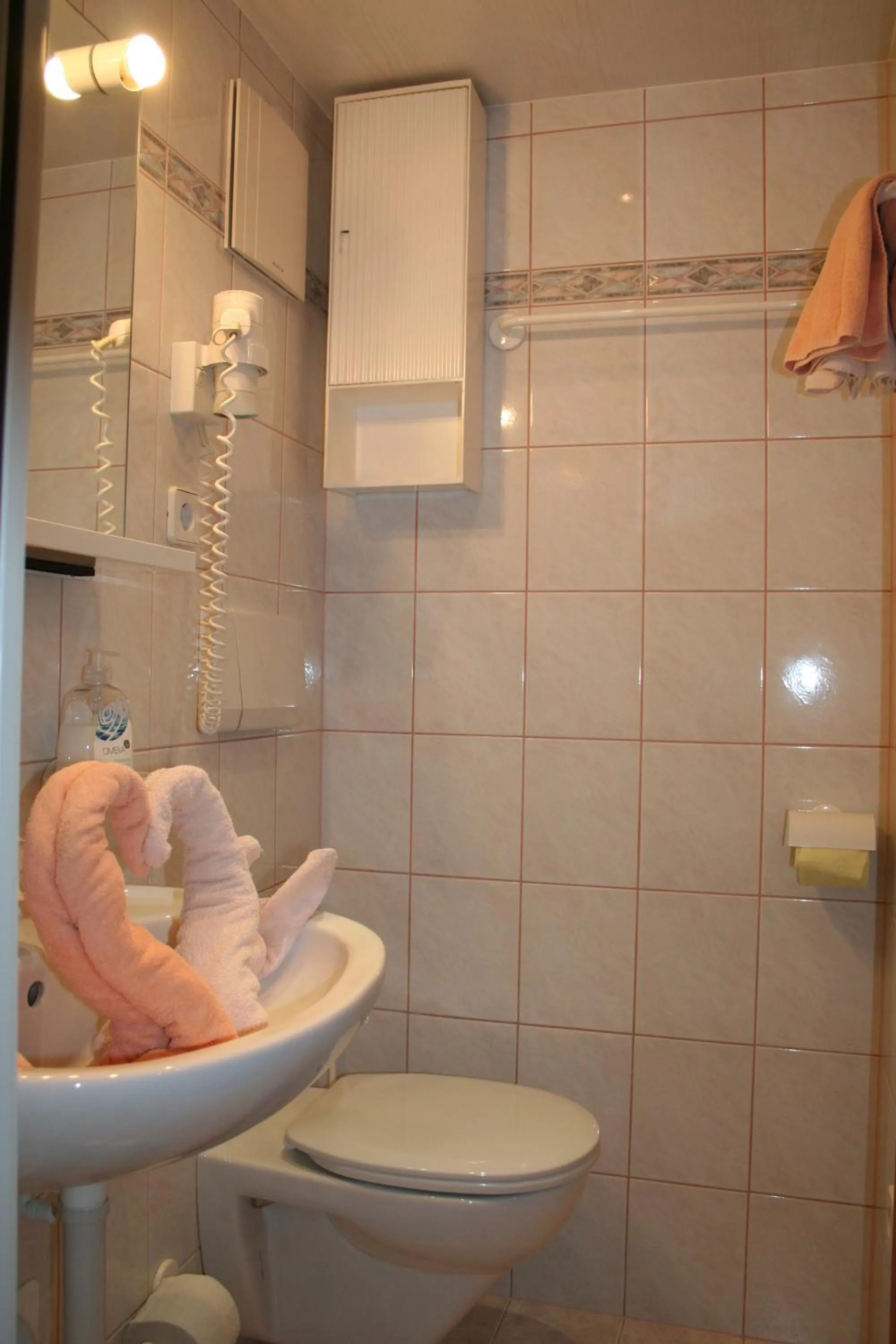 Toilet in Hotel Gasthof Schweizerhaus