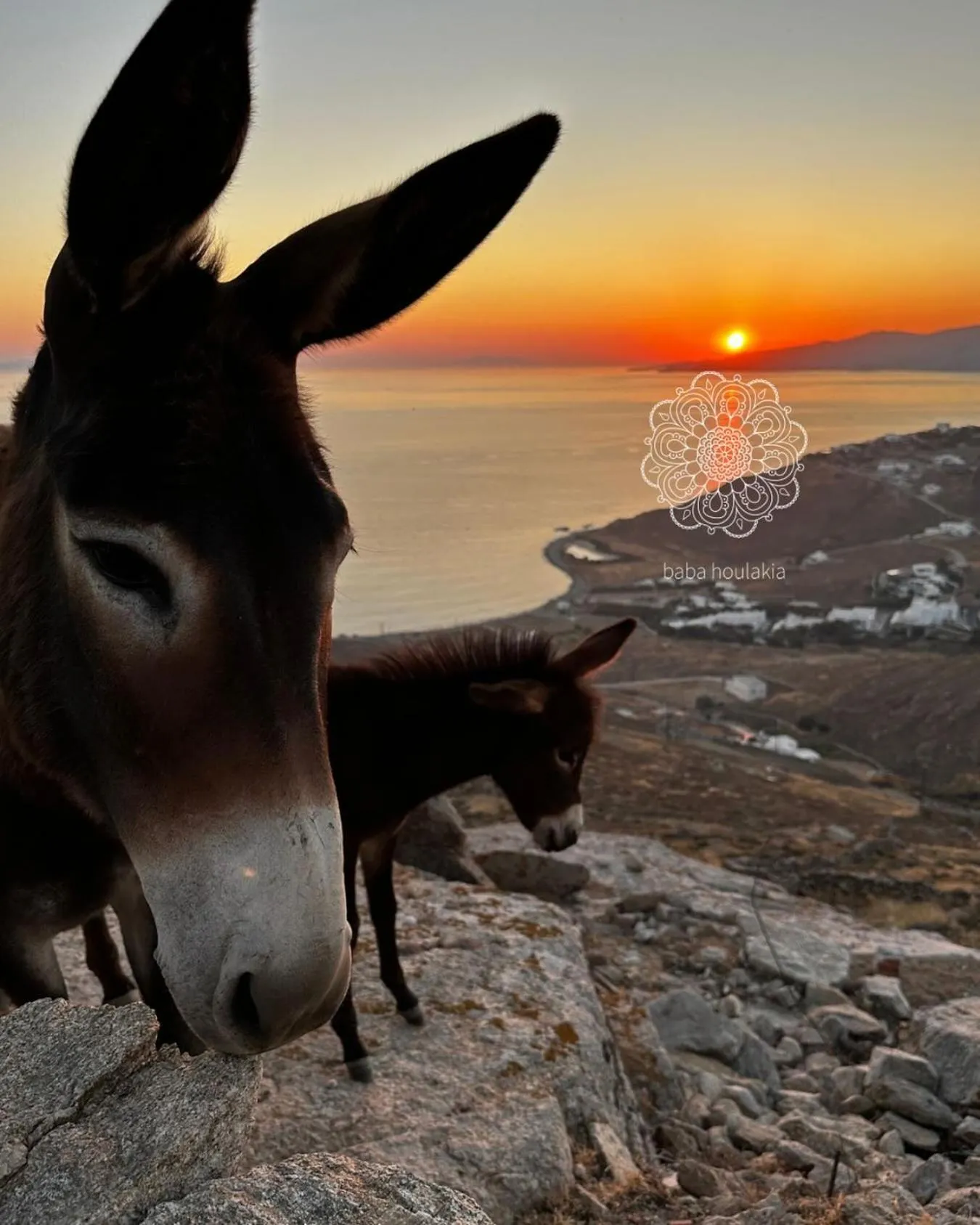 Neighbourhood in Baba Houlakia