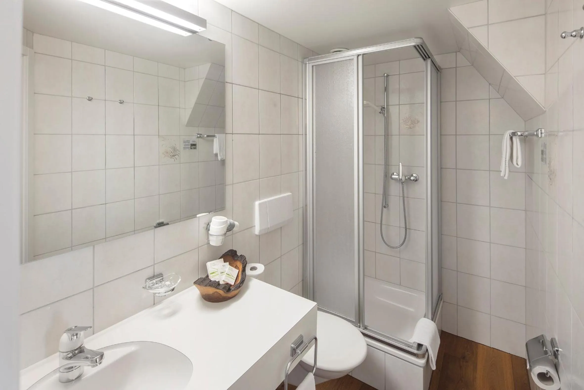 Shower in Hotel Edelweiss Blatten Lötschental