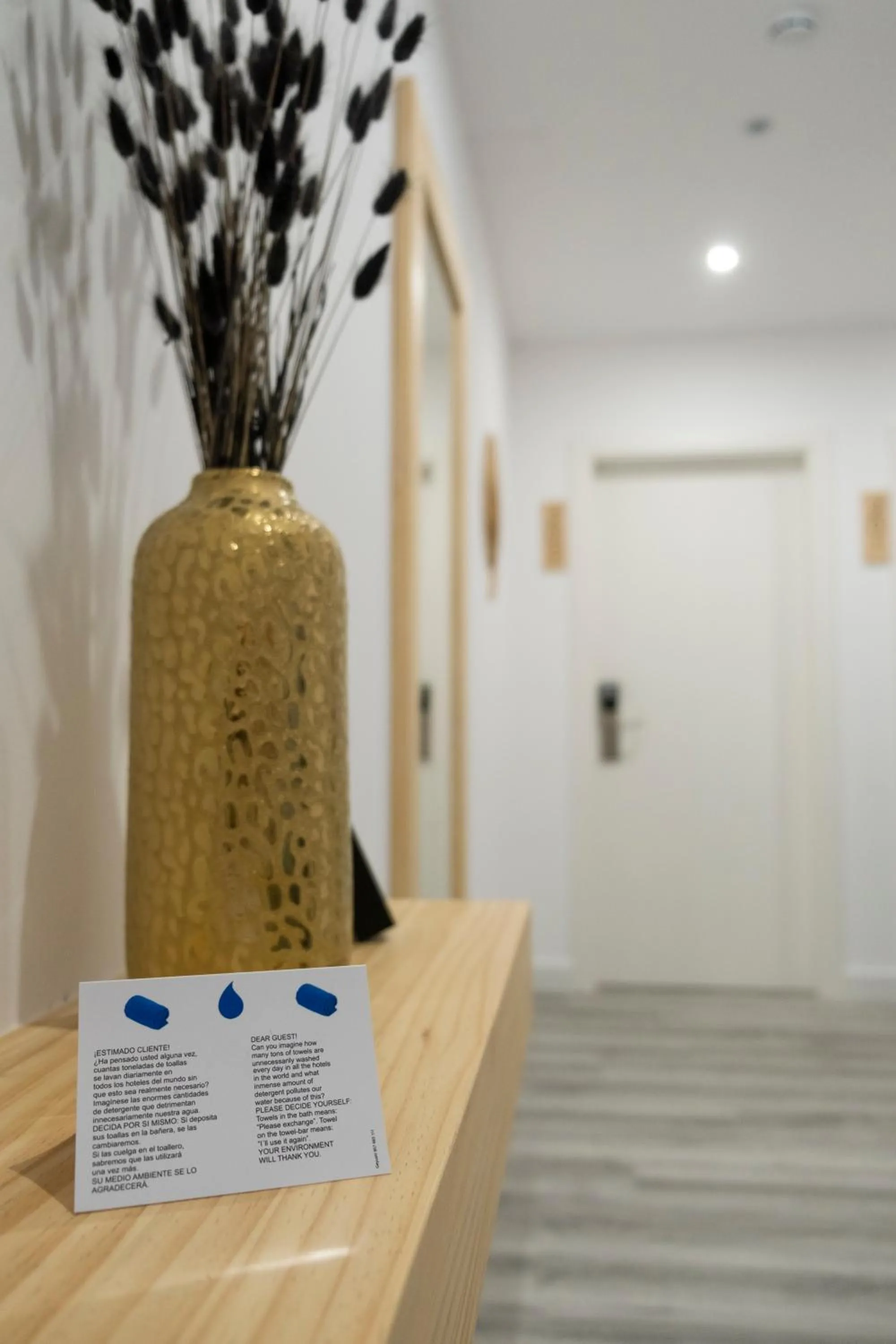 Lobby or reception in Brisarte