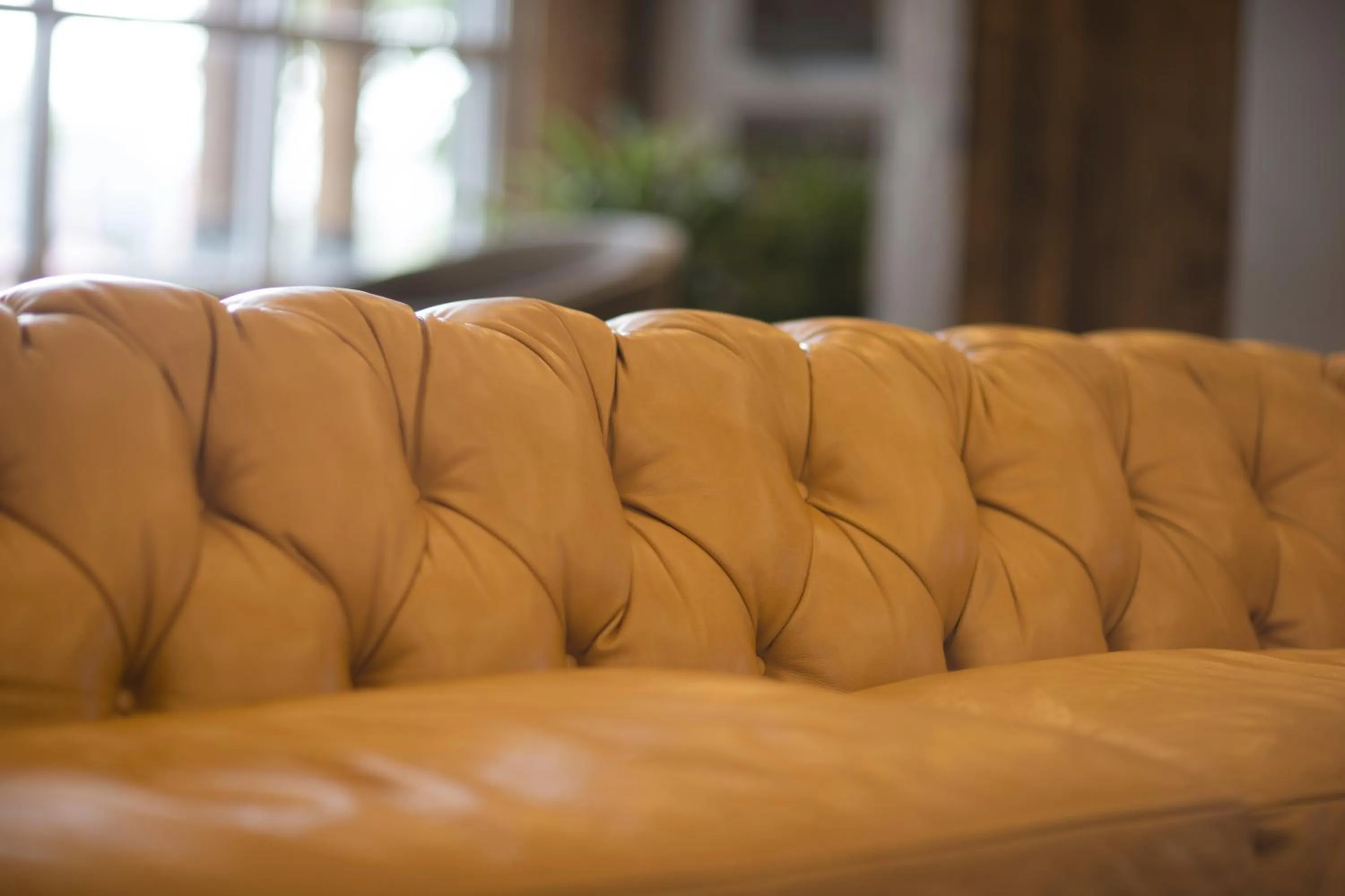 Property building in Crowne Plaza Resort Asheville by IHG