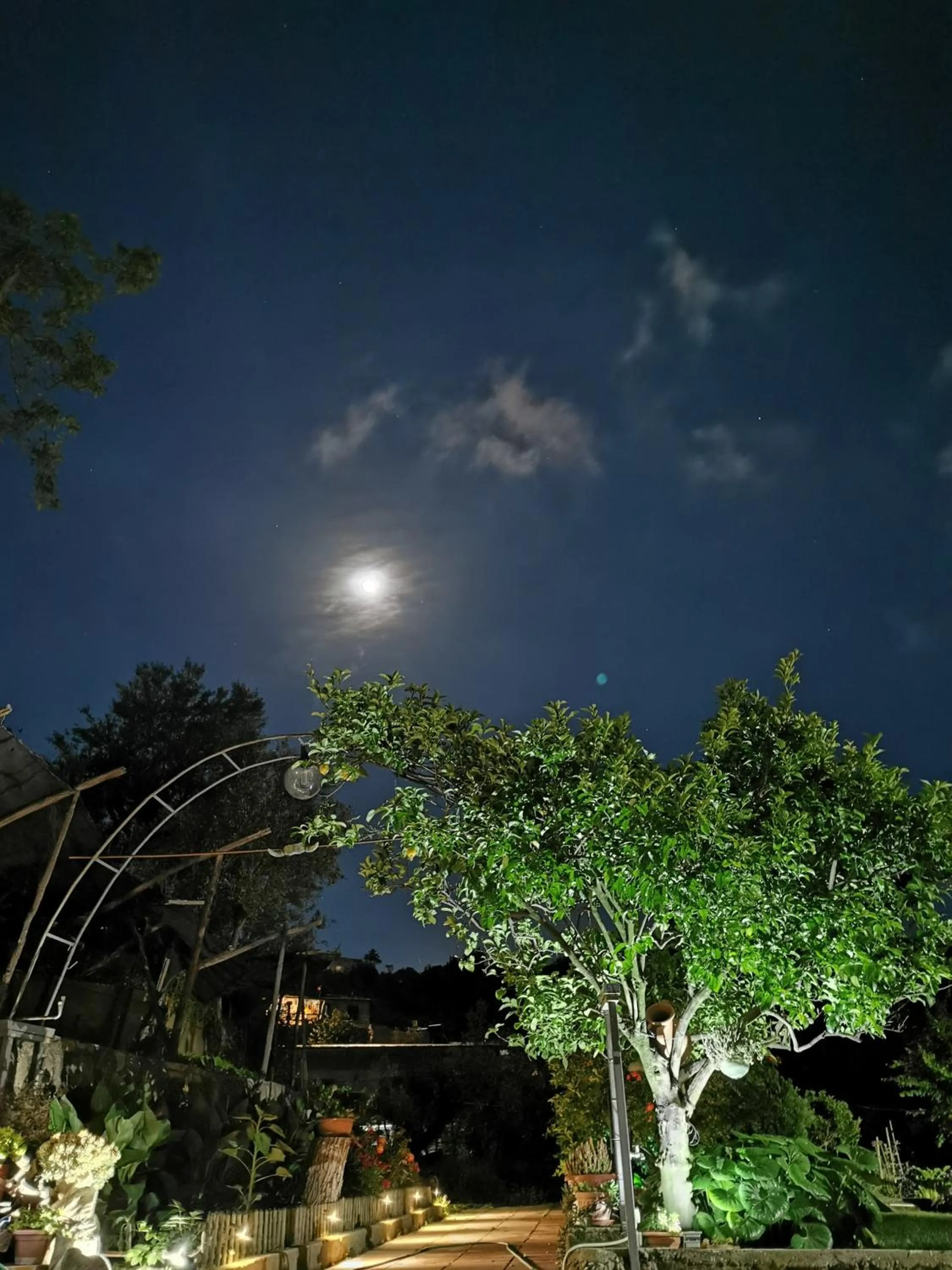 L'Angolo di Campagna