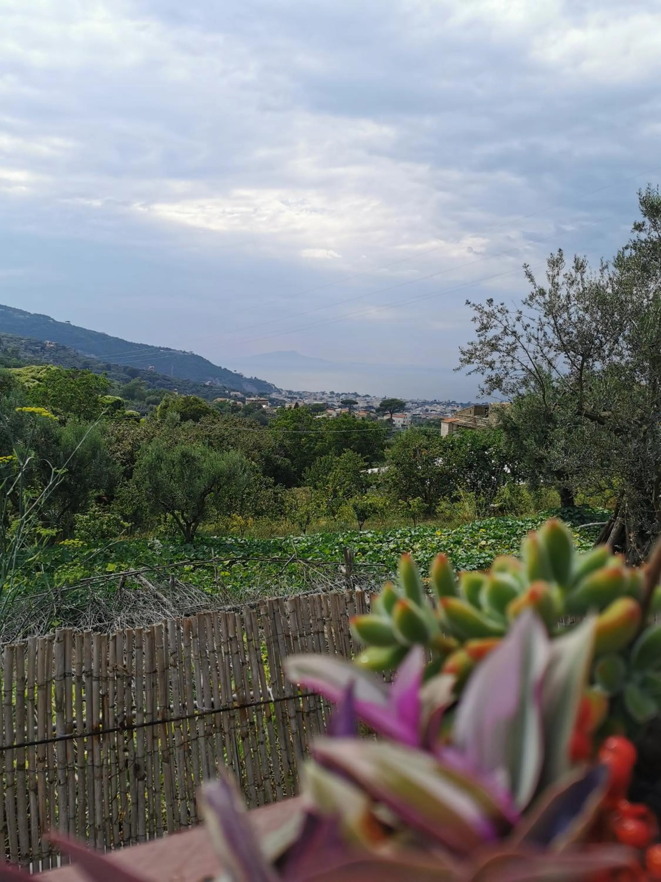 L'Angolo di Campagna