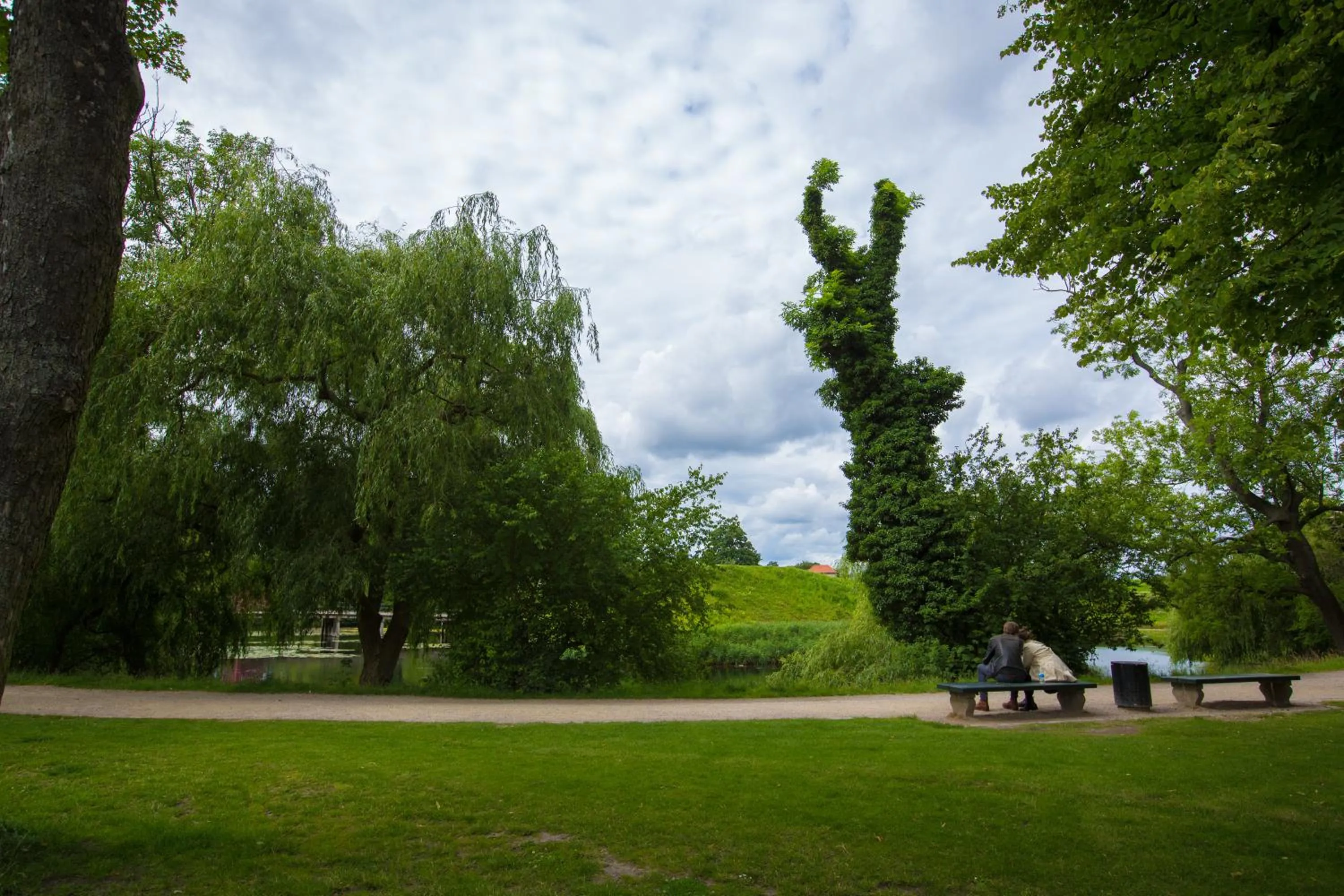 Natural landscape in The Citadel Apartments by Daniel&Jacob's