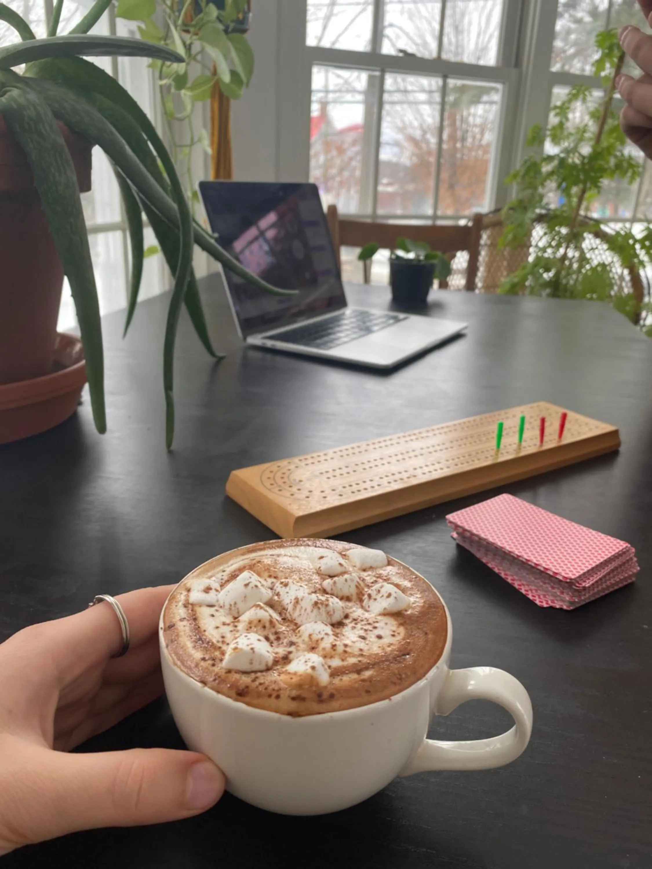 Food and drinks in Auberge de Jeunesse Magog-Orford Hostel