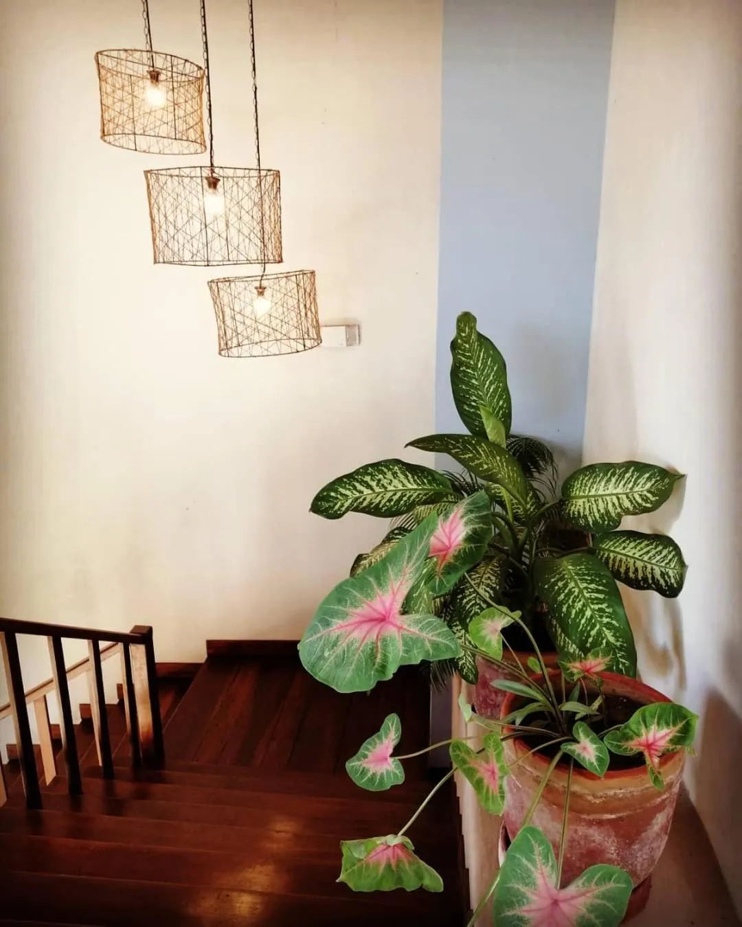 Other in Hotel con Corazón Granada