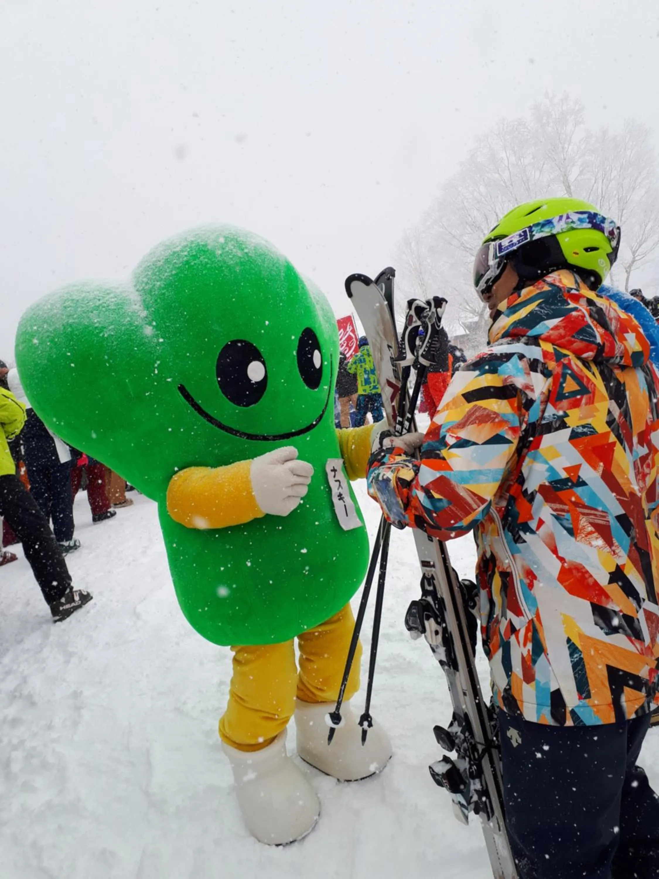 Day in Nozawa View Hotel Shimataya