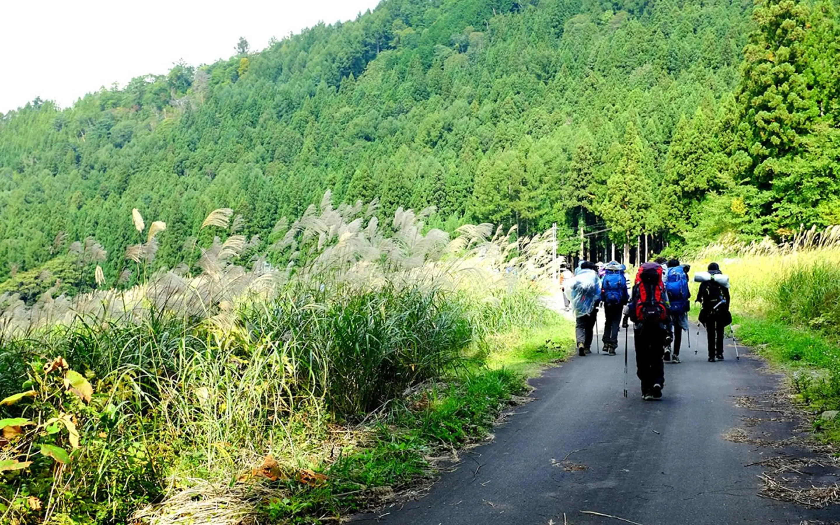 Activities in Nozawa View Hotel Shimataya