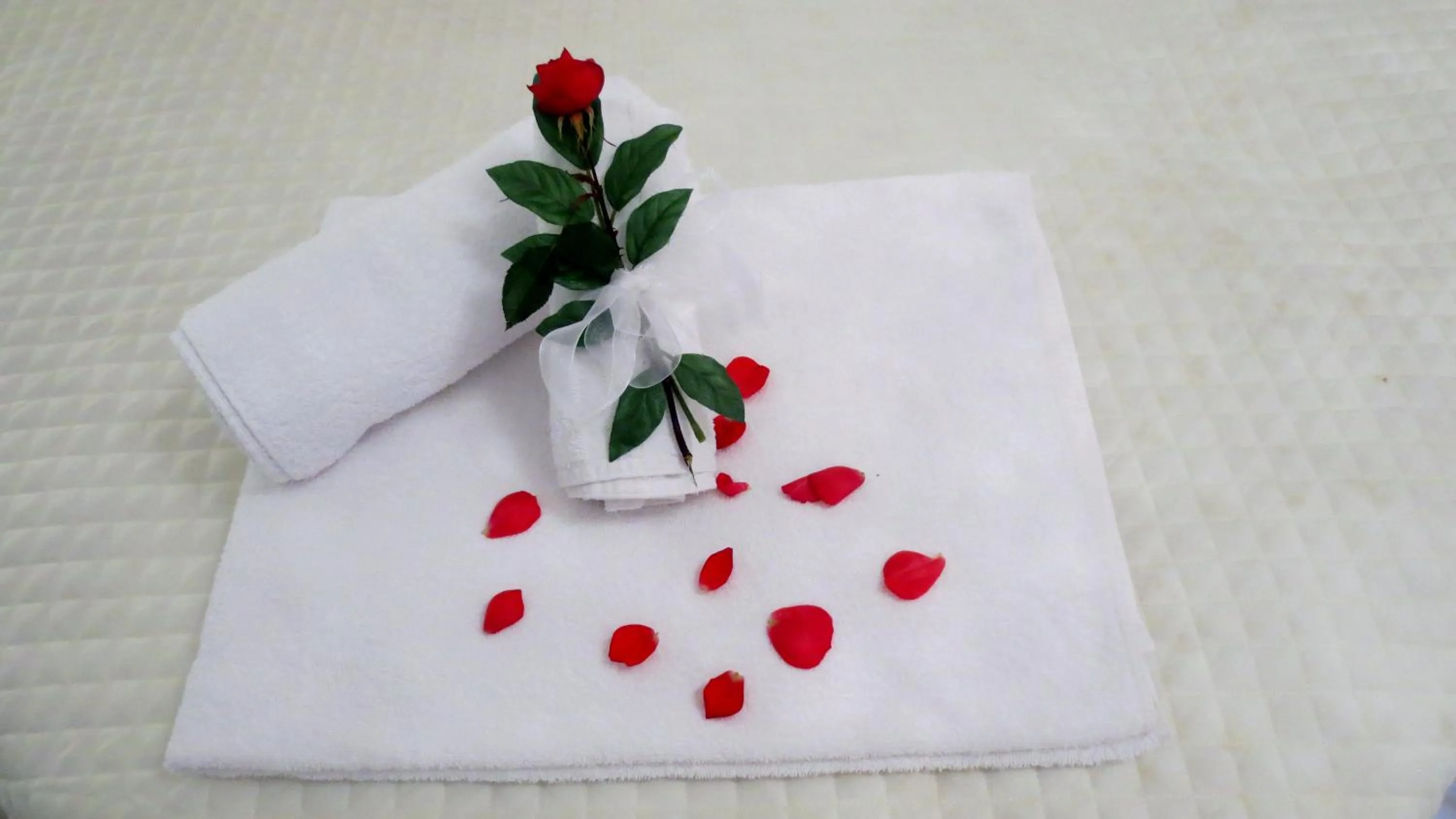 Decorative detail in Masseria Corte Masseriola