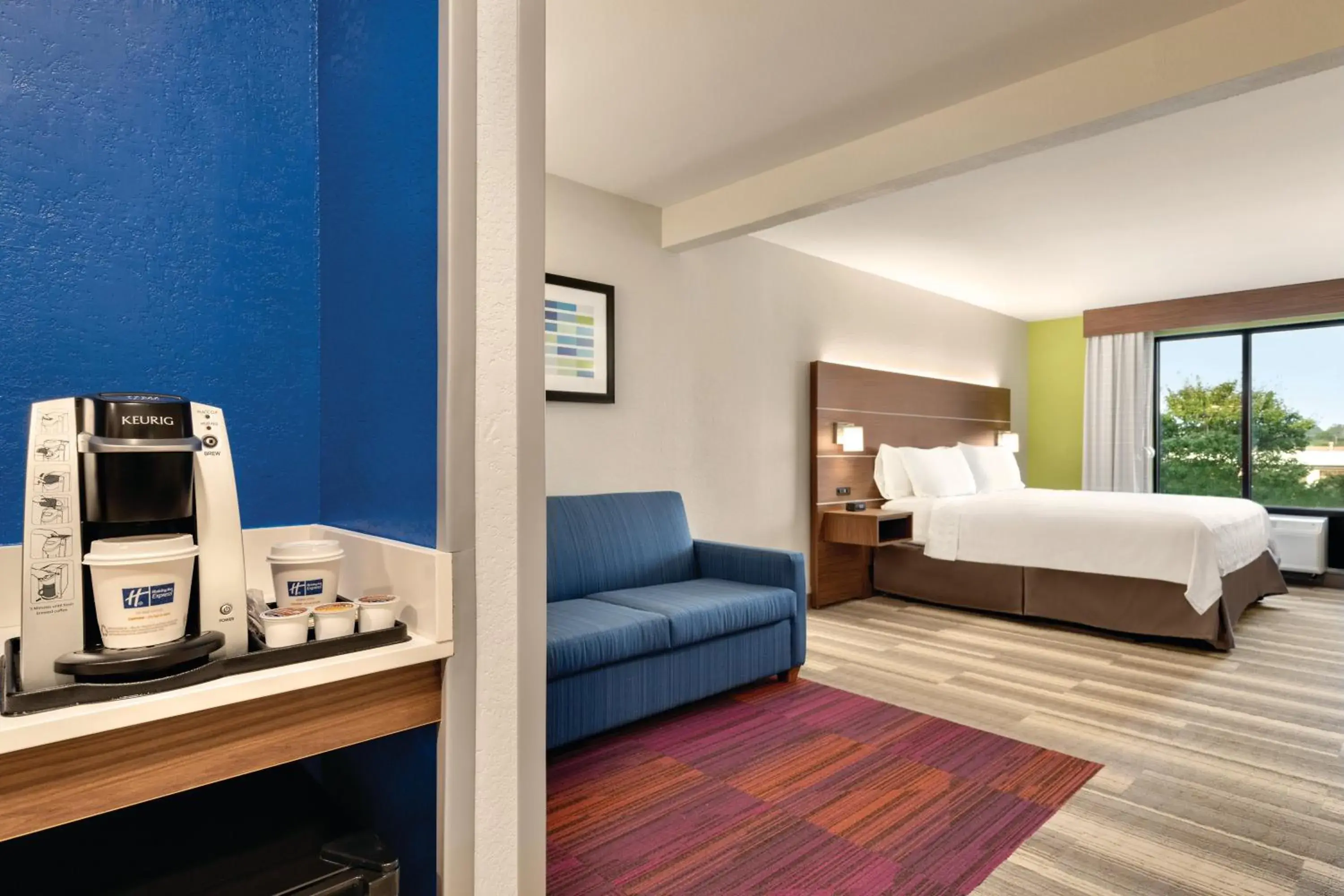 King Suite - Disability Access in Holiday Inn Express Hotel & Suites Lavonia by IHG King Suite - Disability Access in Holiday Inn Express Hotel & Suites Lavonia by IHG