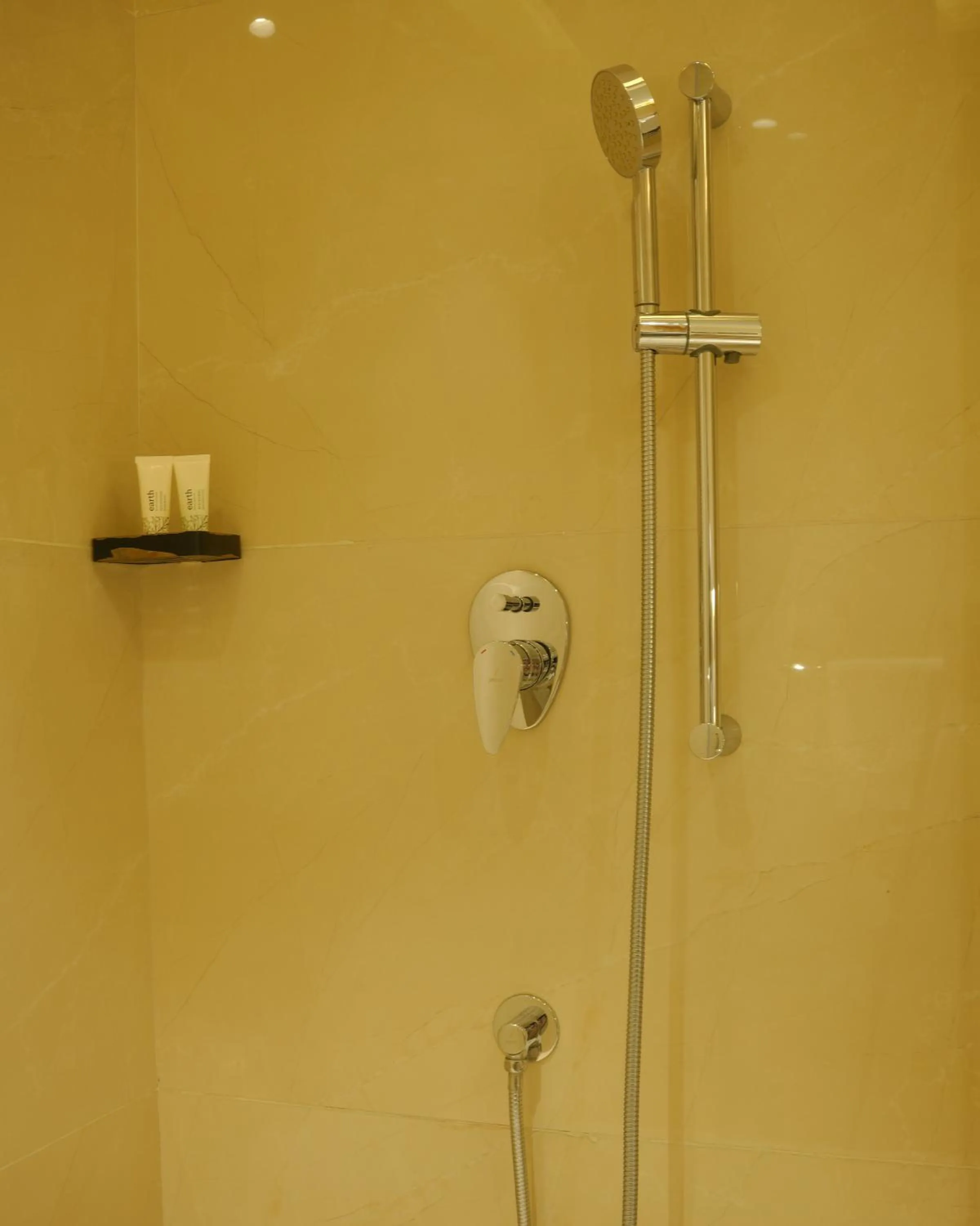 Shower in Best Western AH1 Amritsar