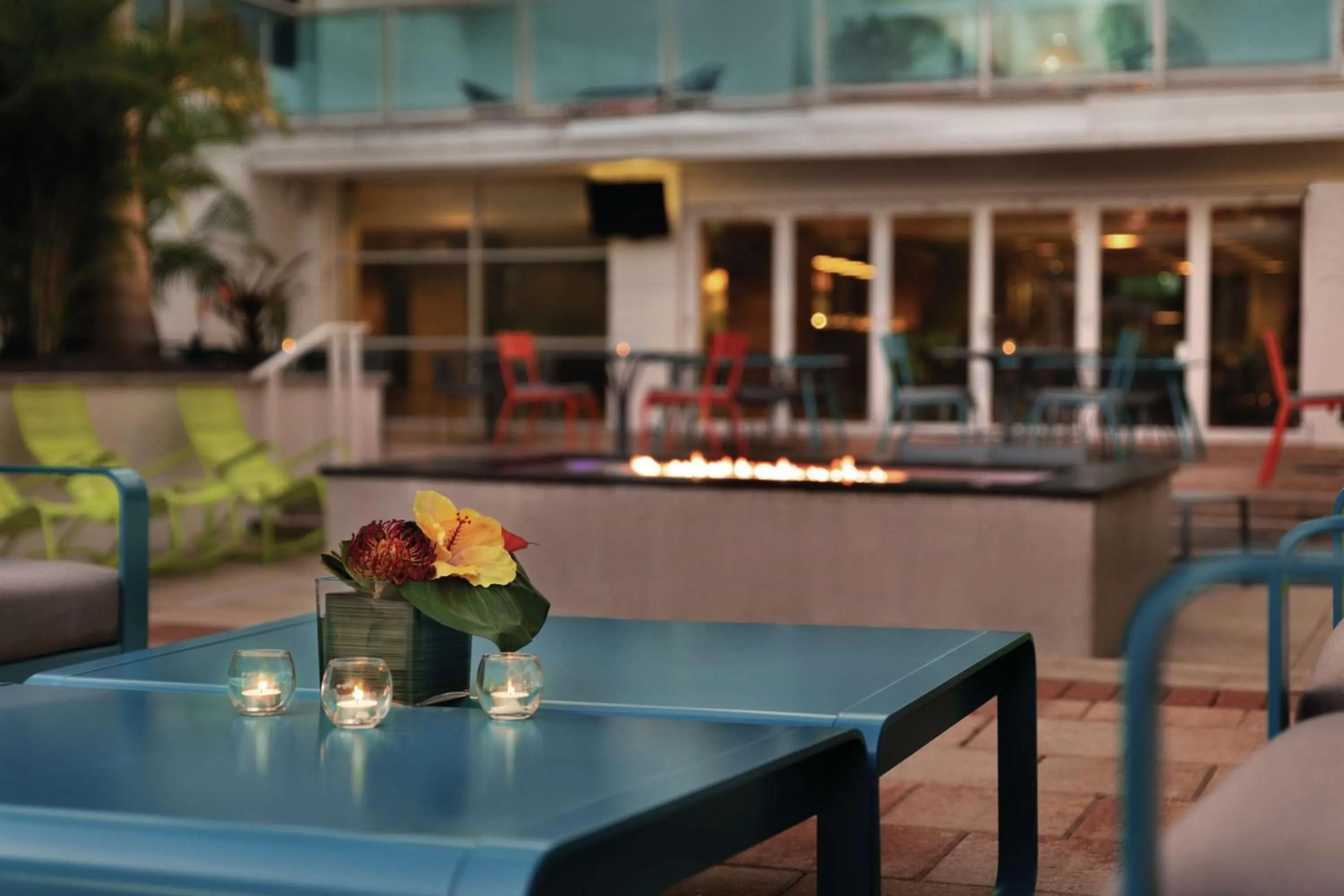 Pool view in Hotel Alba Tampa, Tapestry Collection By Hilton