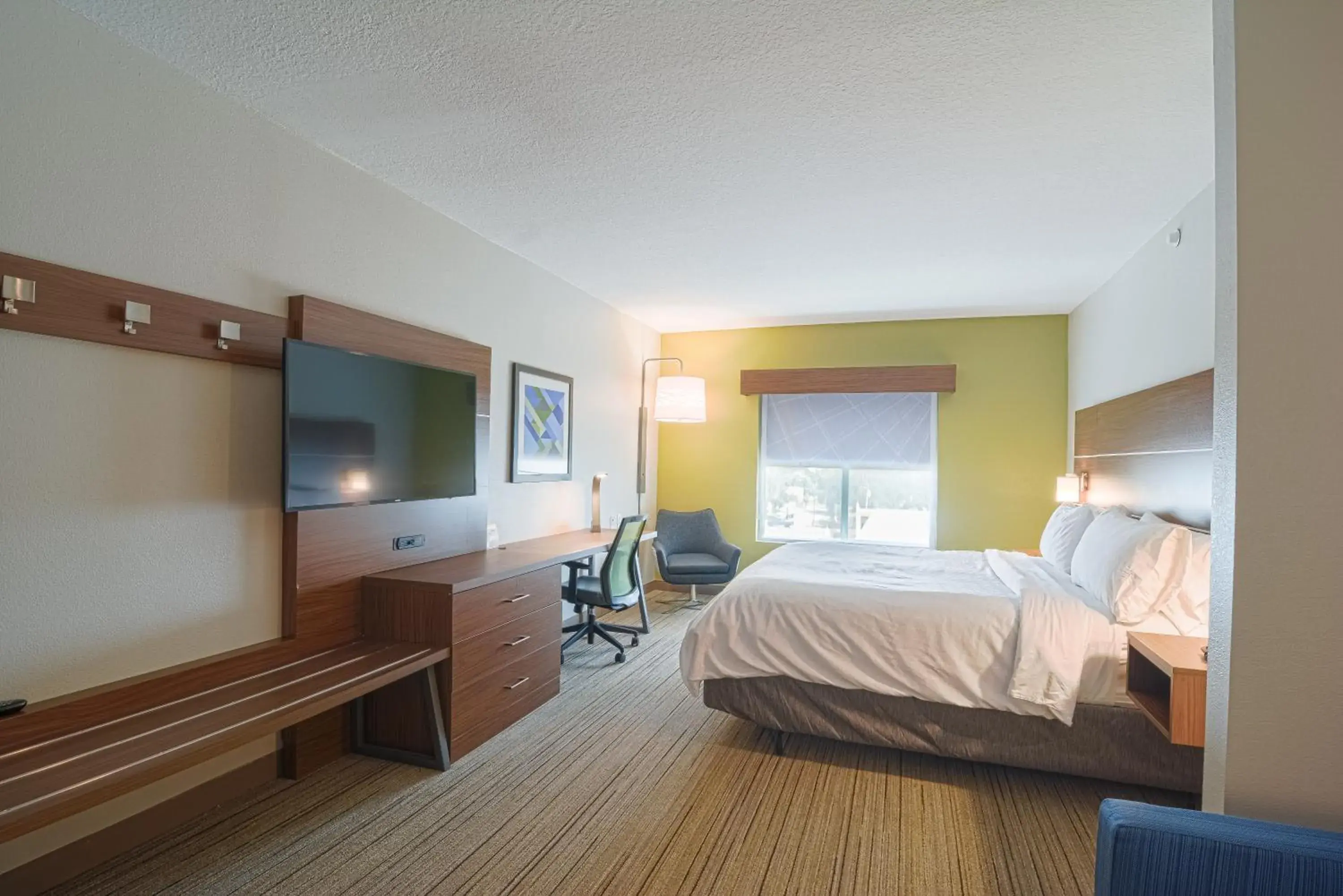 King Suite in Holiday Inn Express Hotel & Suites Tampa-USF-Busch Gardens by IHG King Suite in Holiday Inn Express Hotel & Suites Tampa-USF-Busch Gardens by IHG
