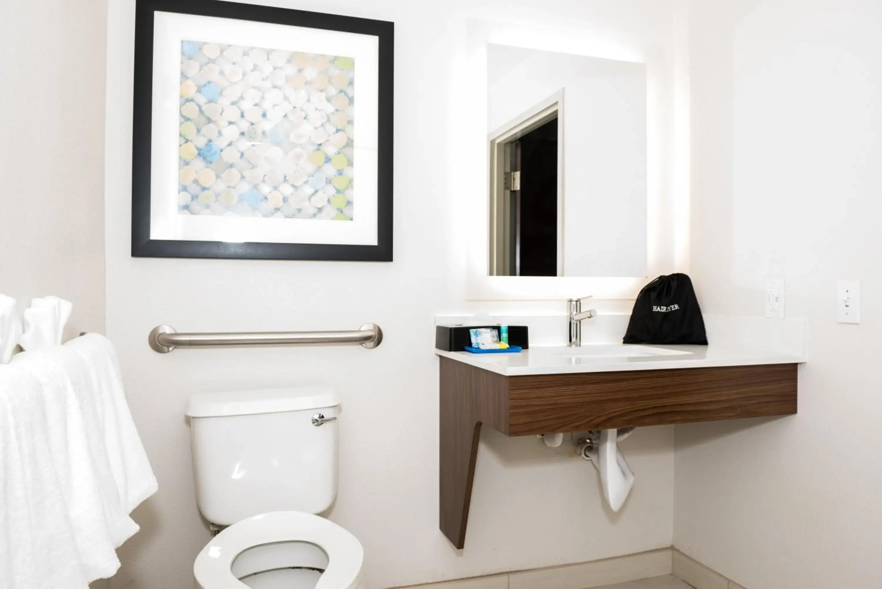 Suite - Mobility Access/Hearing Accessible in Holiday Inn Express Hotel & Suites Tampa-USF-Busch Gardens by IHG Suite - Mobility Access/Hearing Accessible in Holiday Inn Express Hotel & Suites Tampa-USF-Busch Gardens by IHG