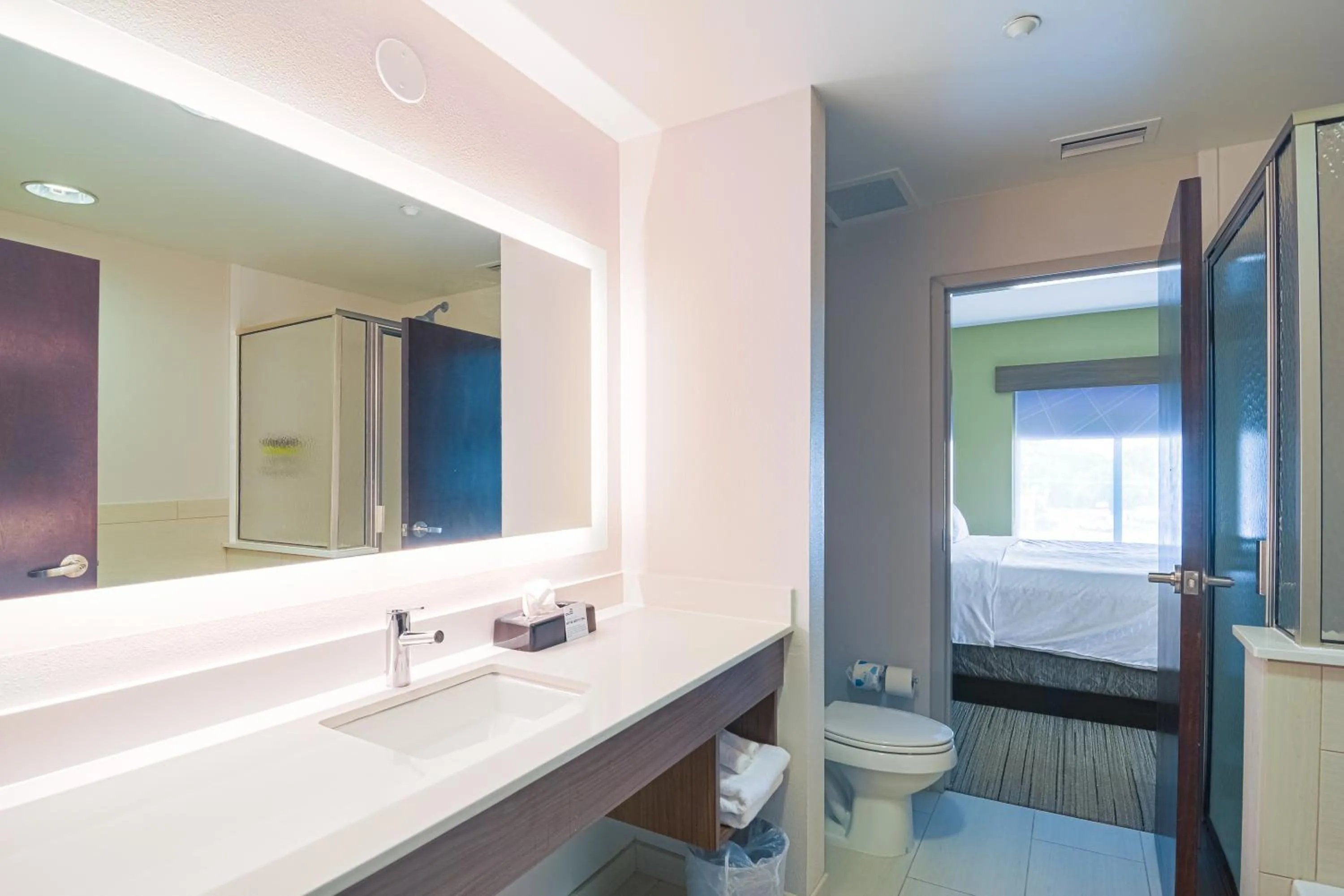 Bathroom in Holiday Inn Express Hotel & Suites Tampa-USF-Busch Gardens by IHG