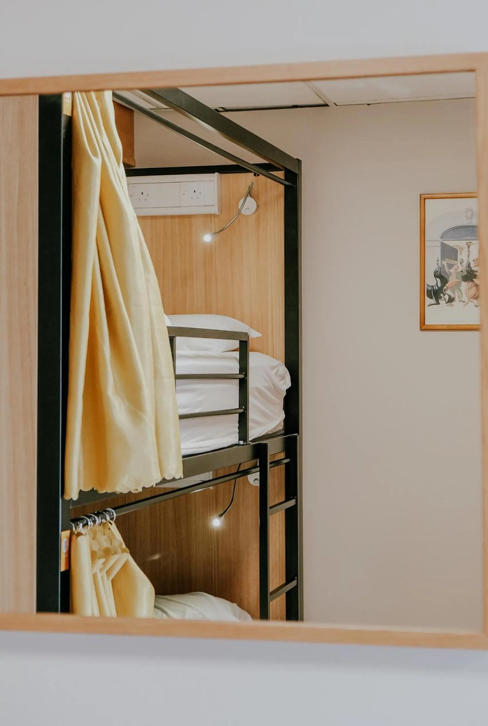 bunk bed, Bed in Garden Lane Backpackers