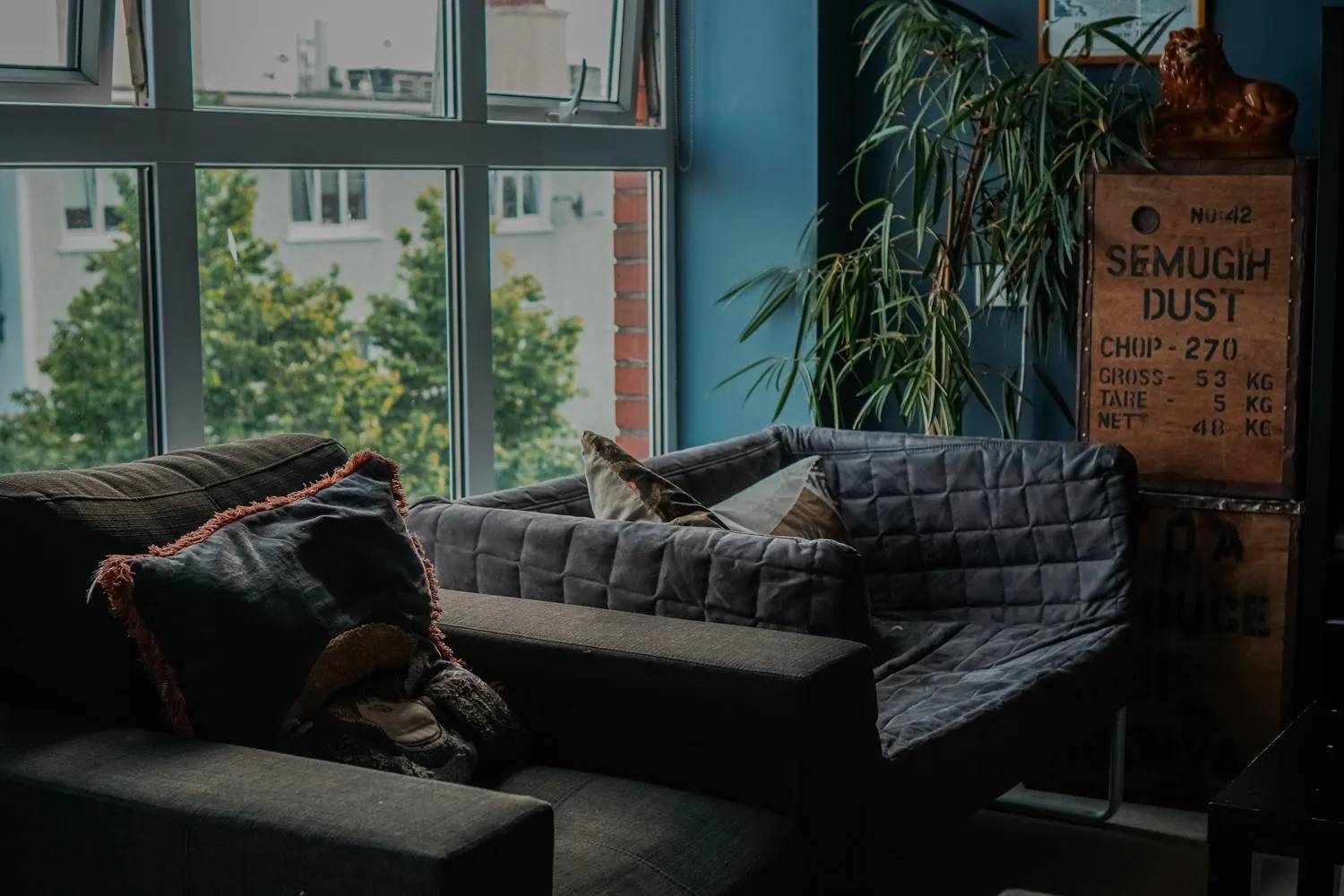 Communal lounge/ TV room in Garden Lane Backpackers