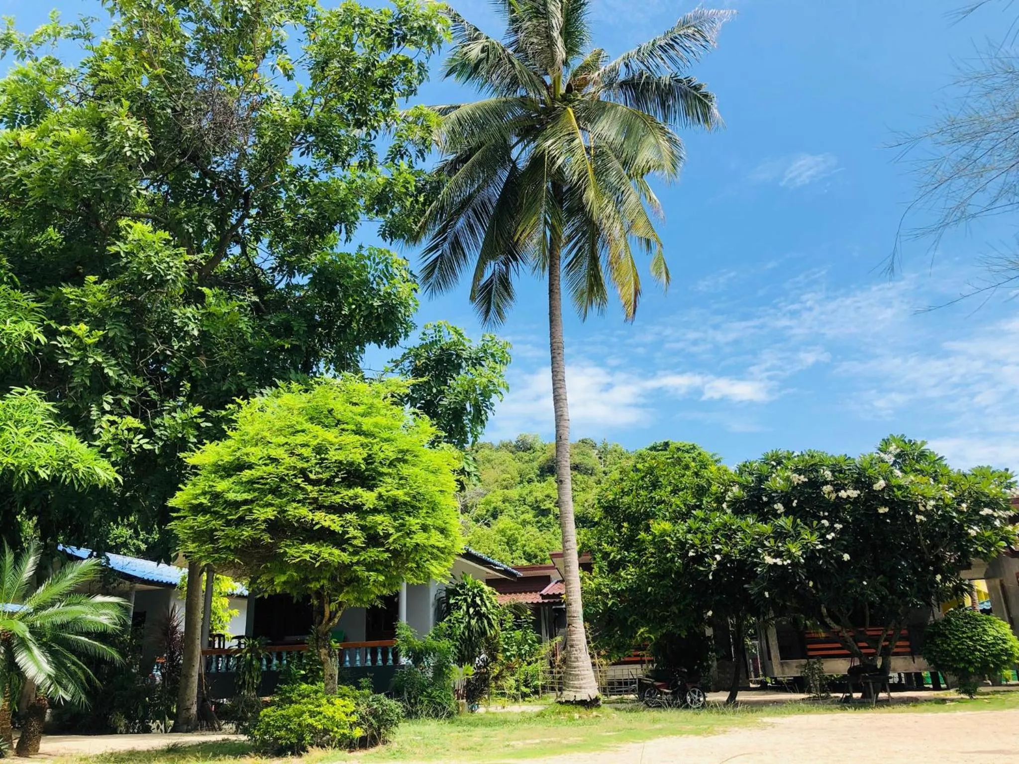 Garden in Ibiza Bungalows