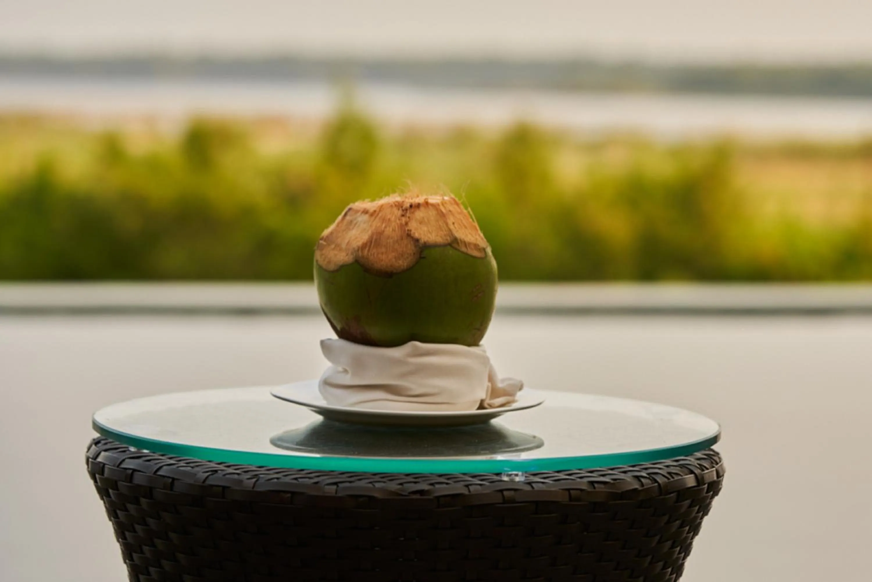 Food and drinks in Sterling Palavelli Godavari