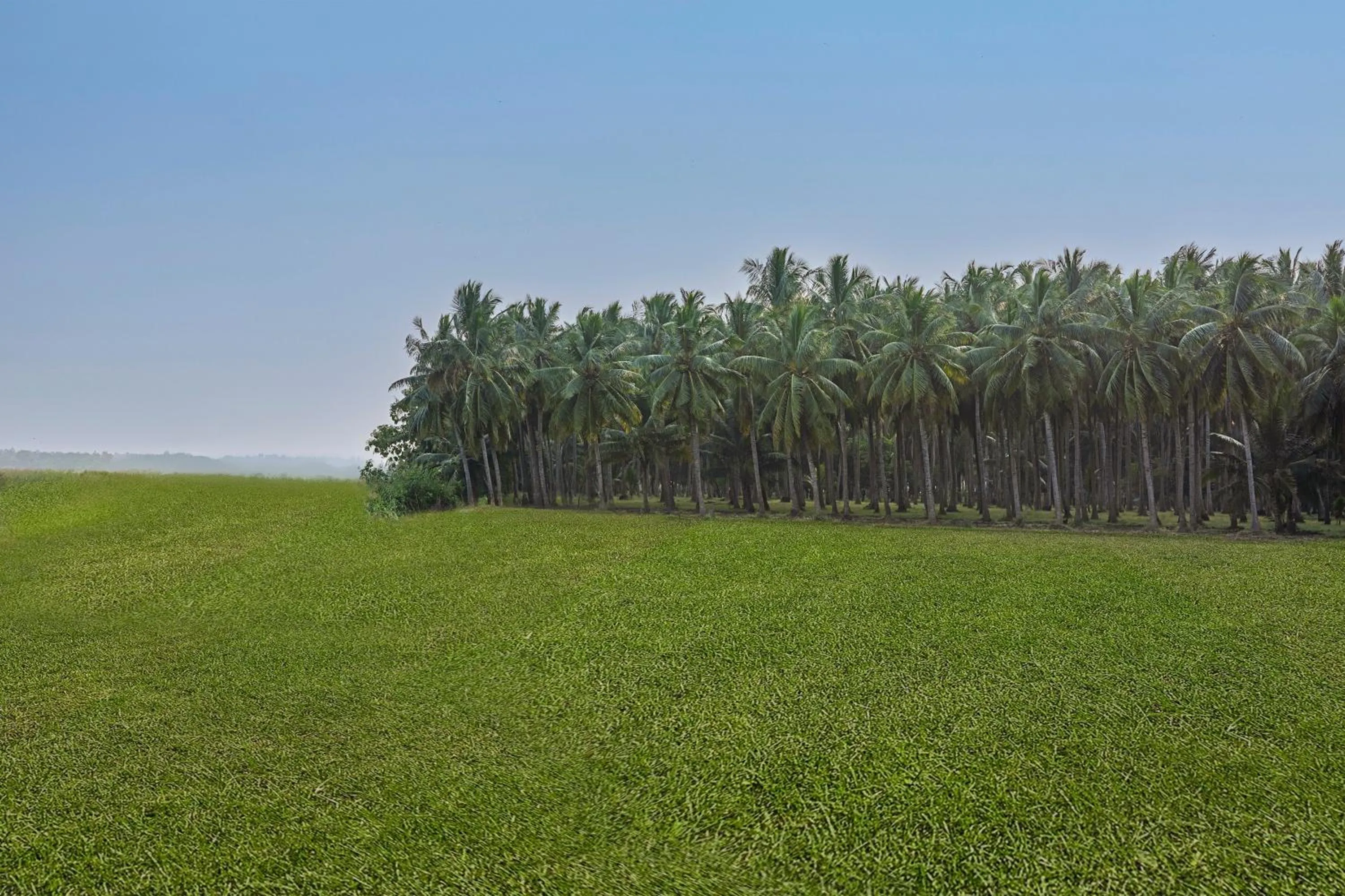 Day in Sterling Palavelli Godavari