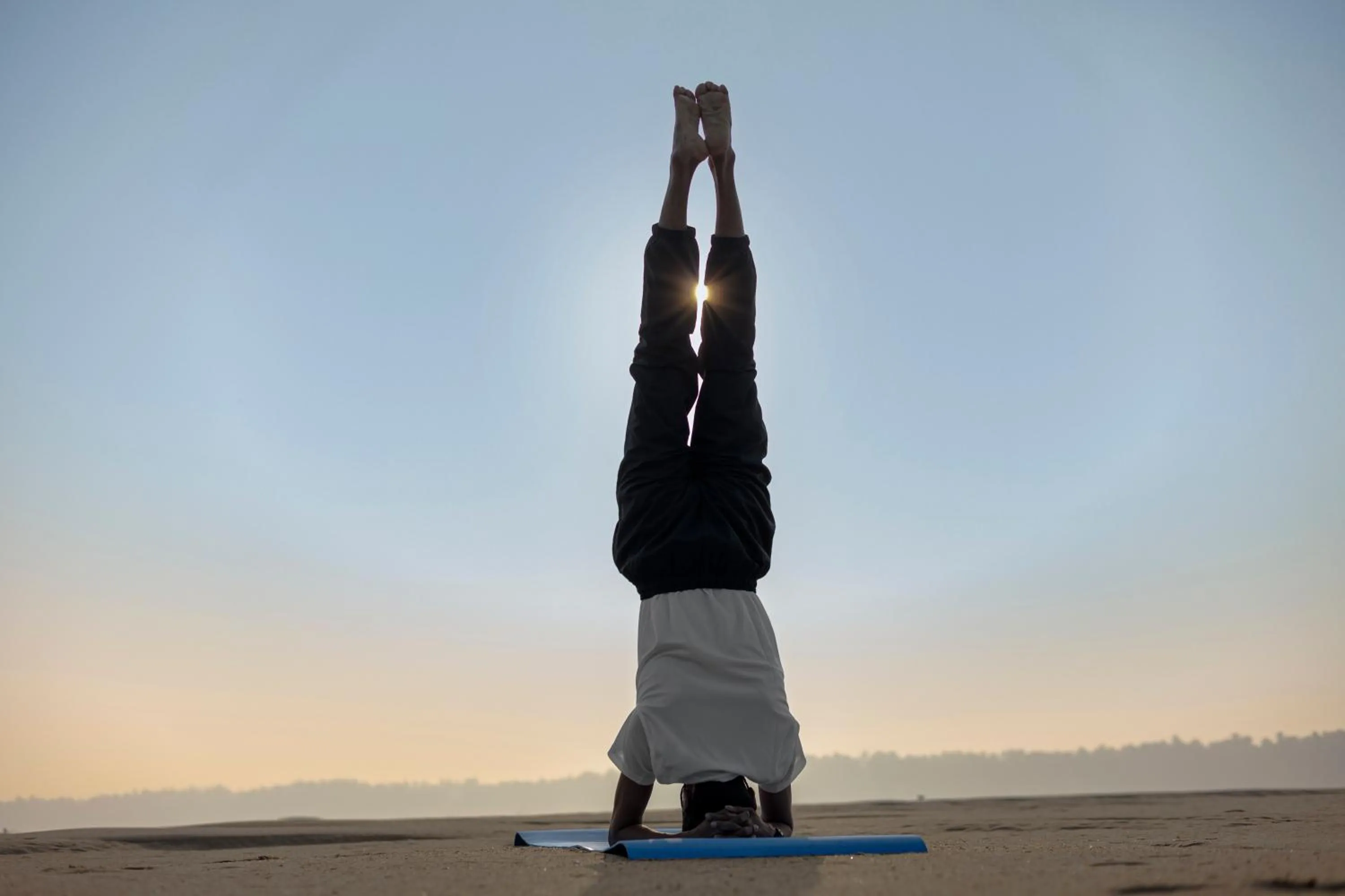 Activities in Sterling Palavelli Godavari