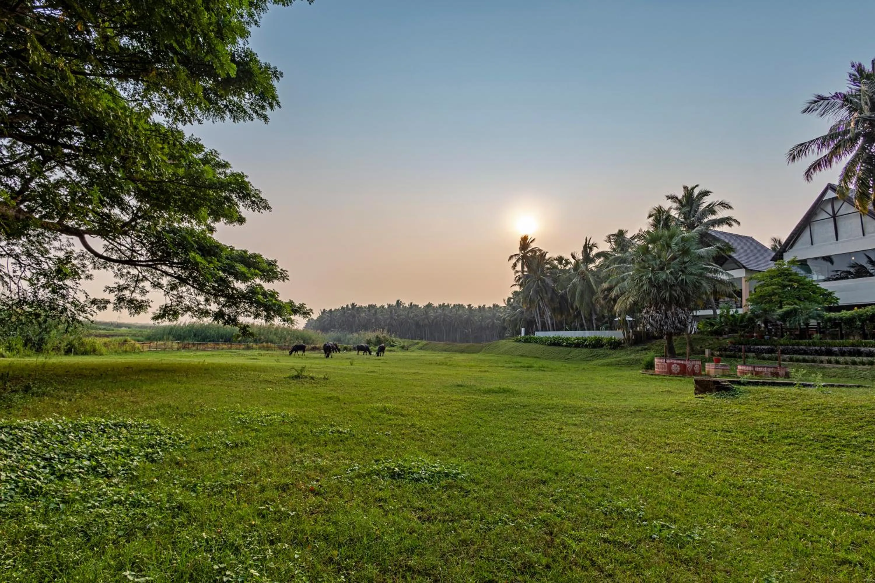 Natural landscape in Sterling Palavelli Godavari