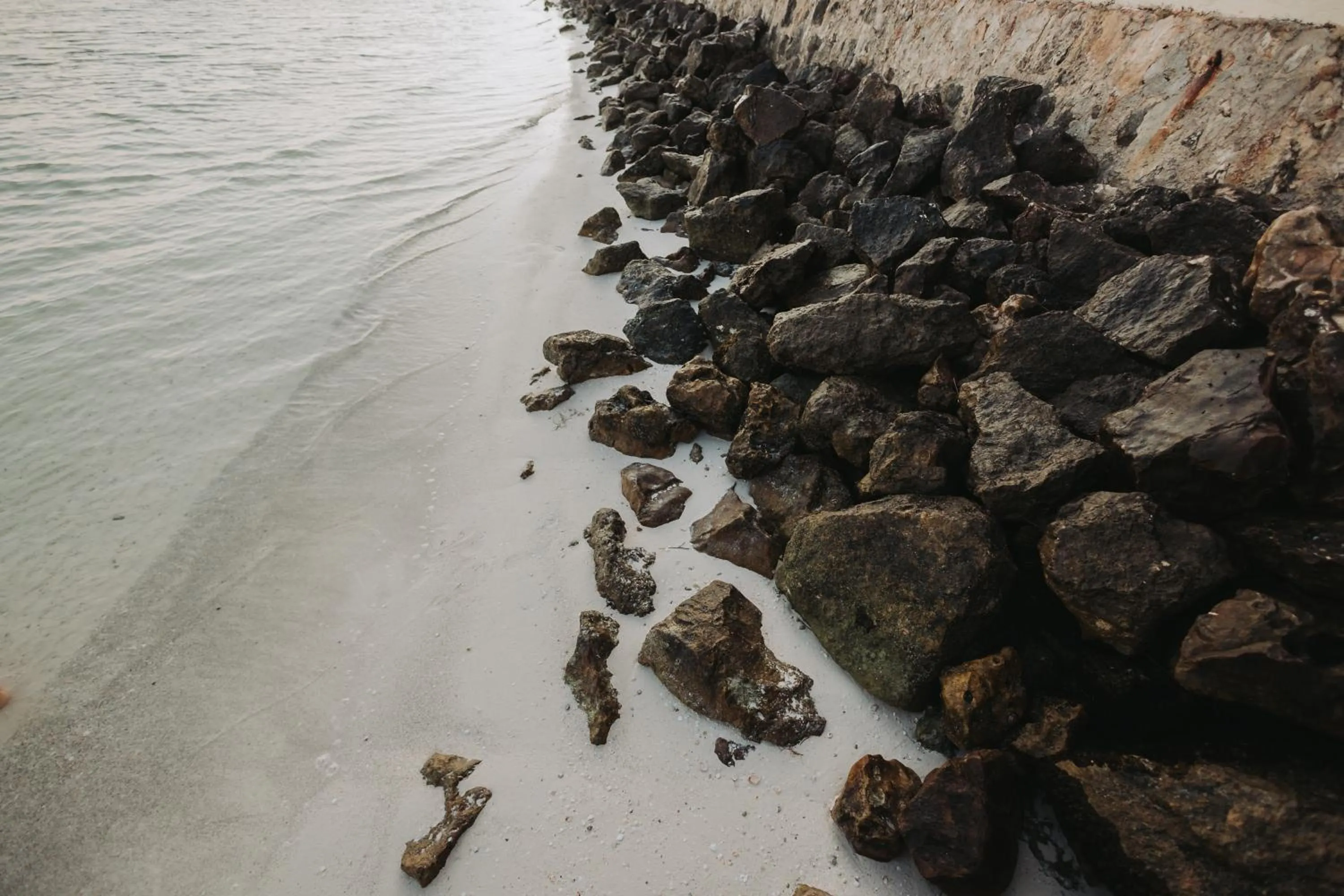 Beach in Hotel Las Nubes Holbox