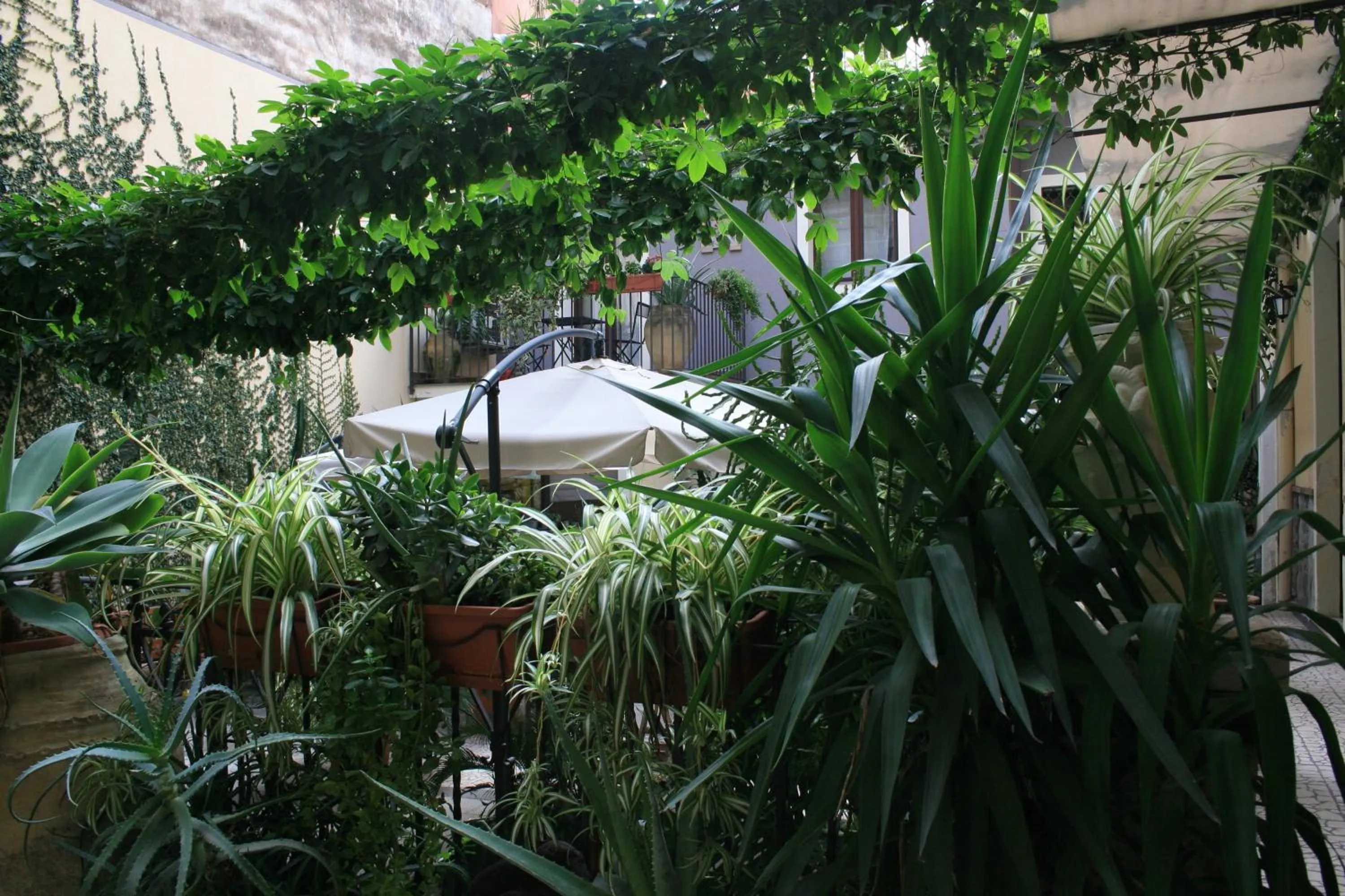 Garden in Casa Barbero Charme B&B